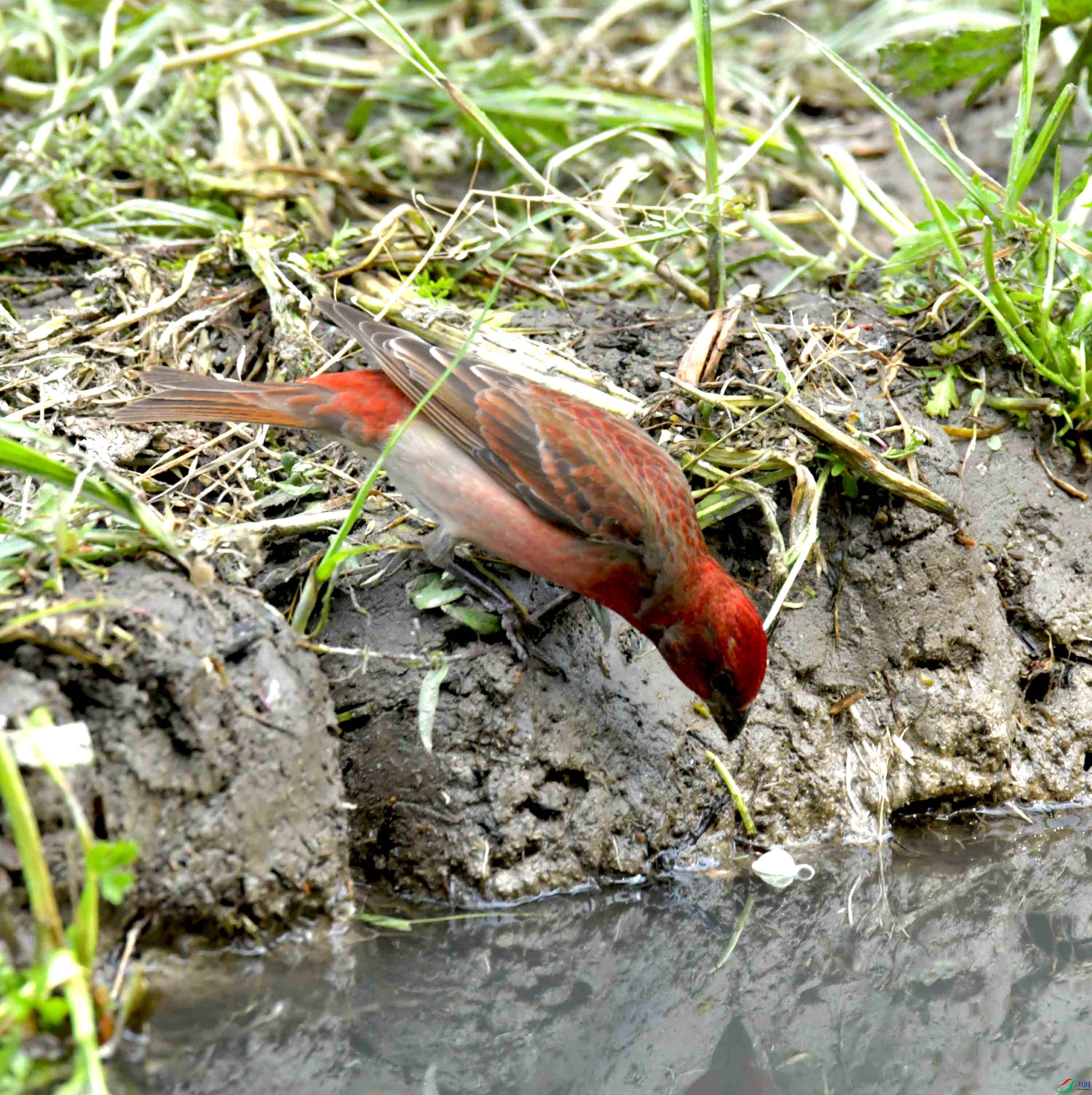DSC_8675.JPG