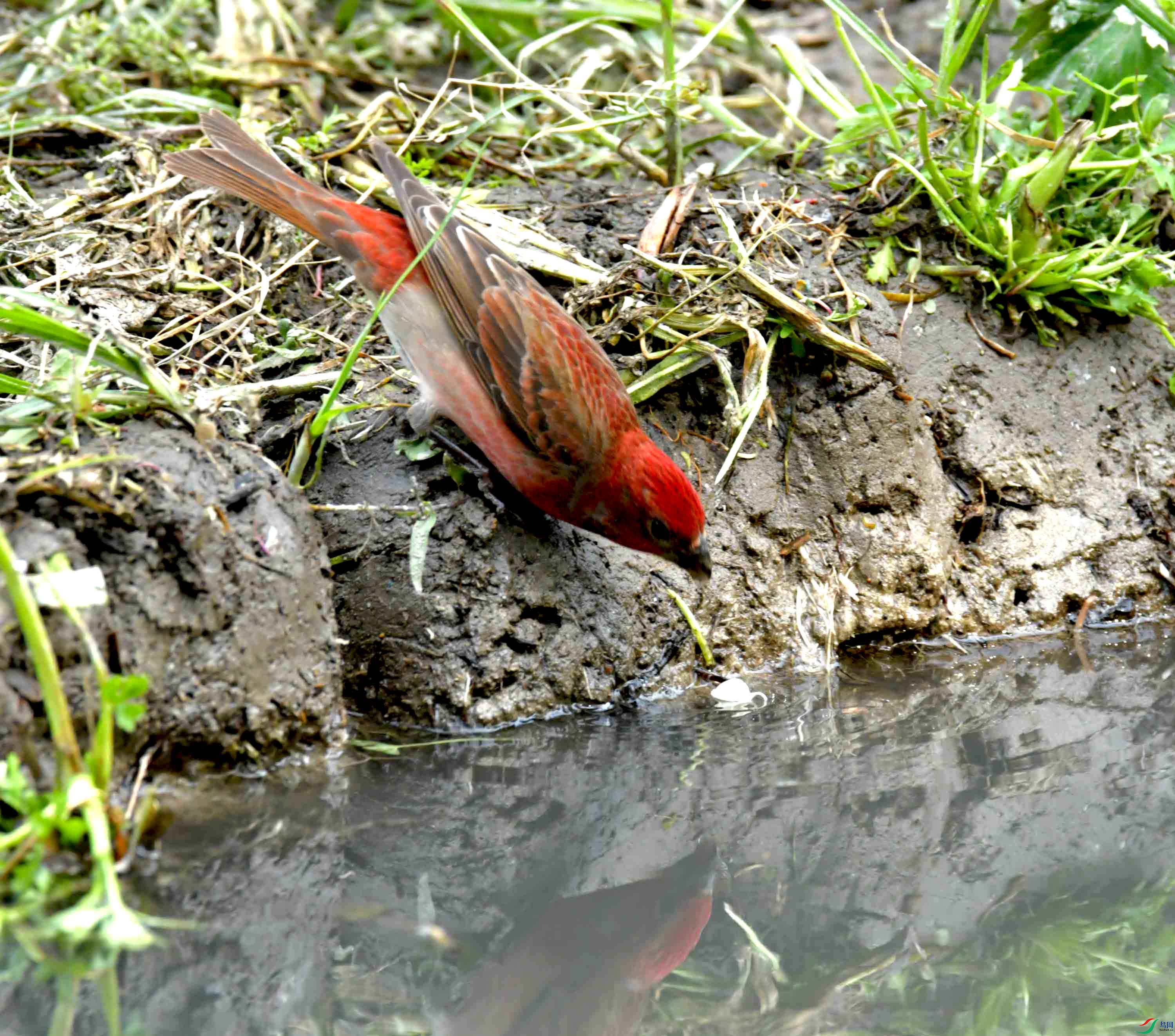 DSC_8688.JPG