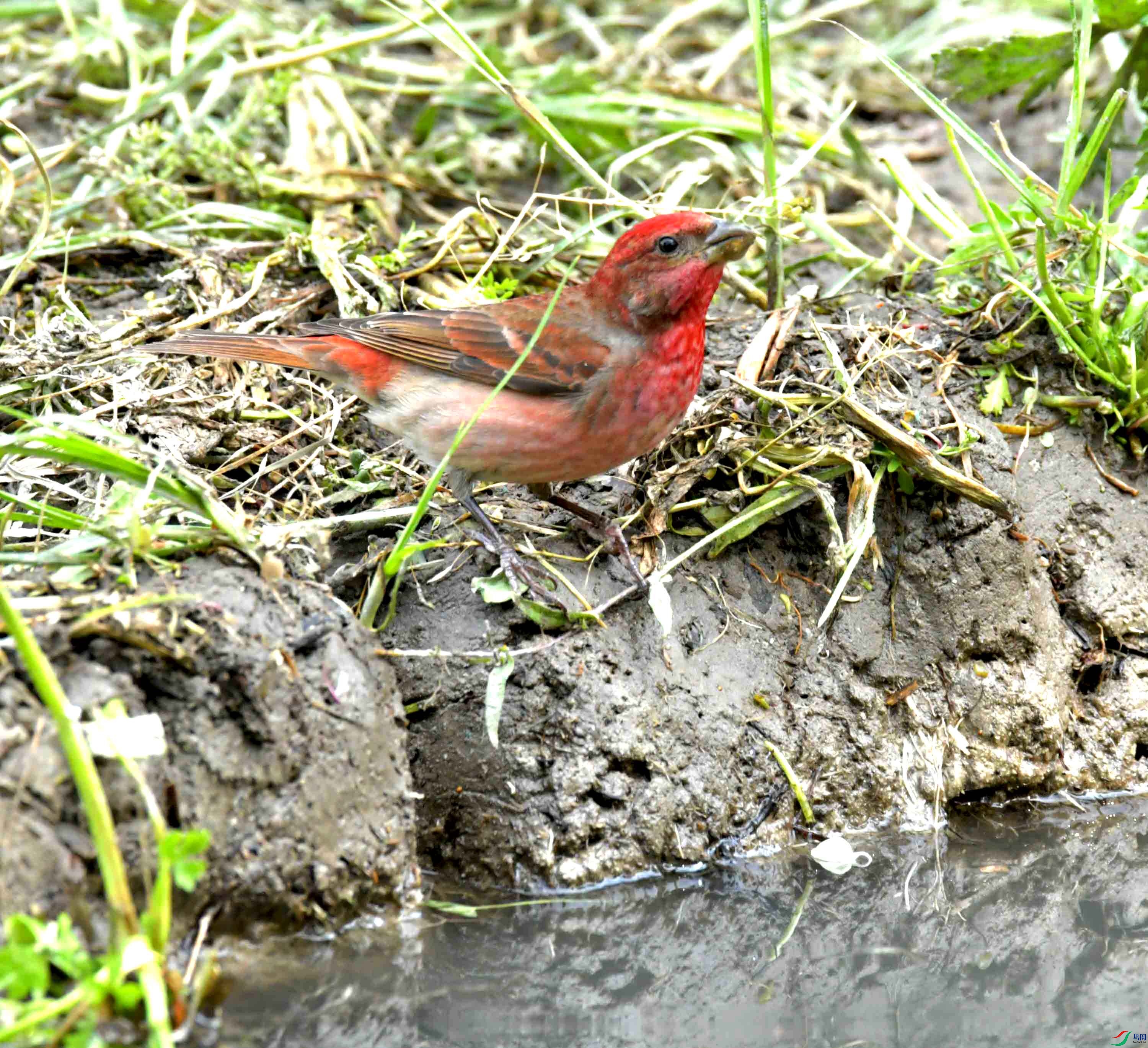 DSC_8692.JPG