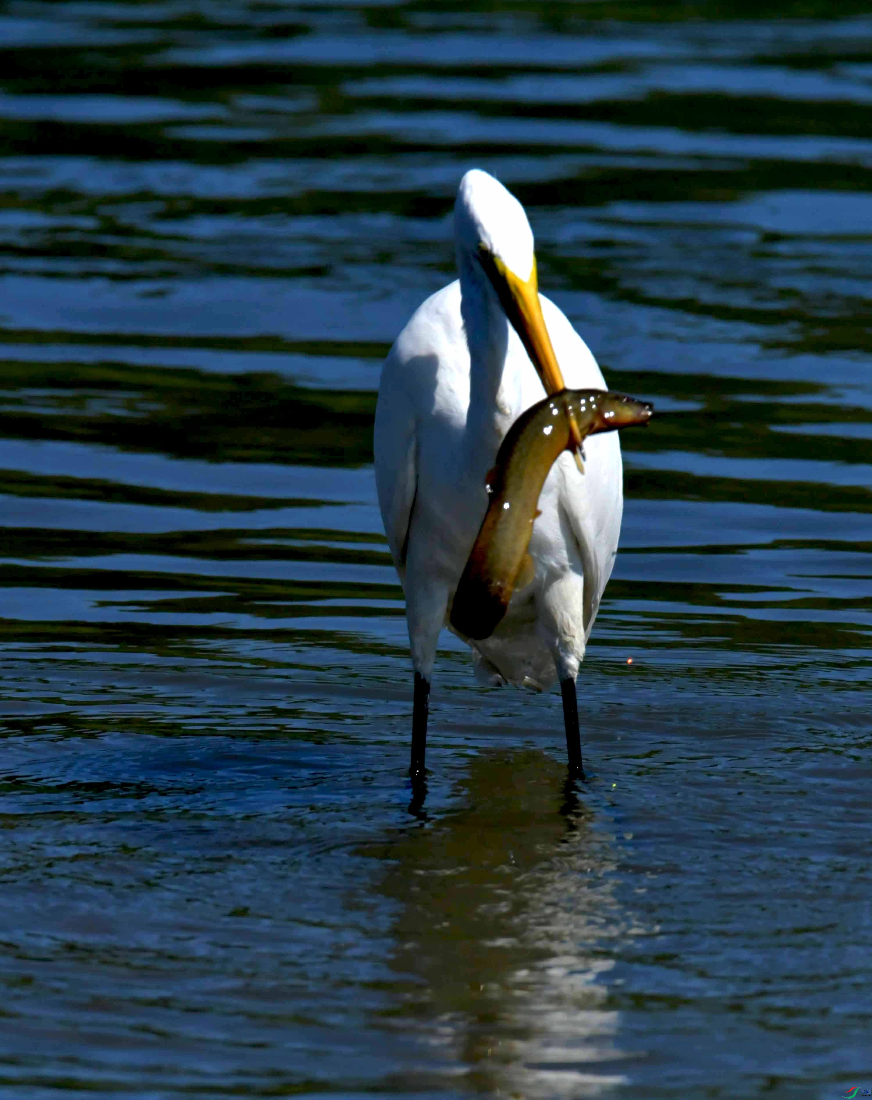DSC_4464.JPG