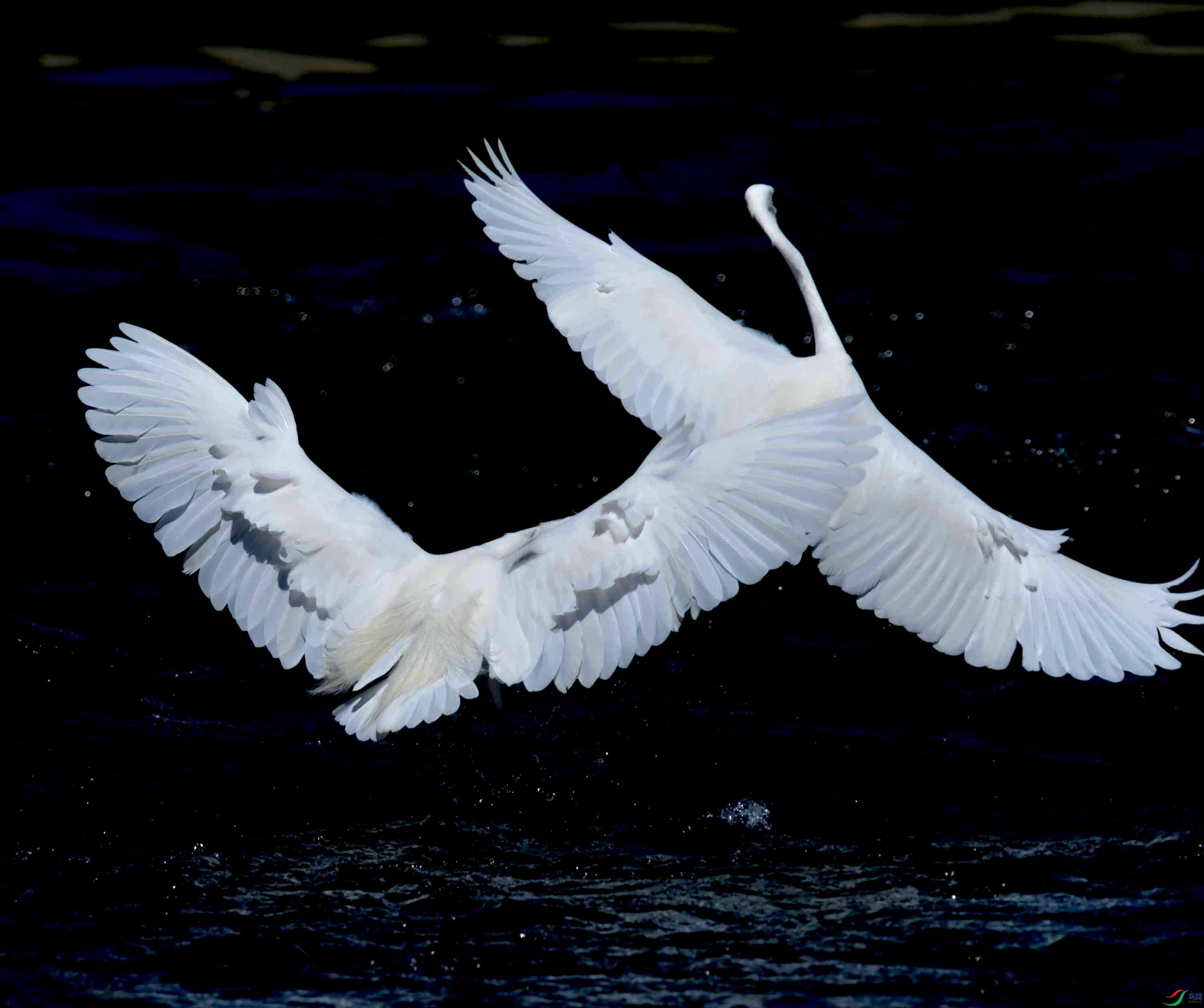DSC_4563.JPG