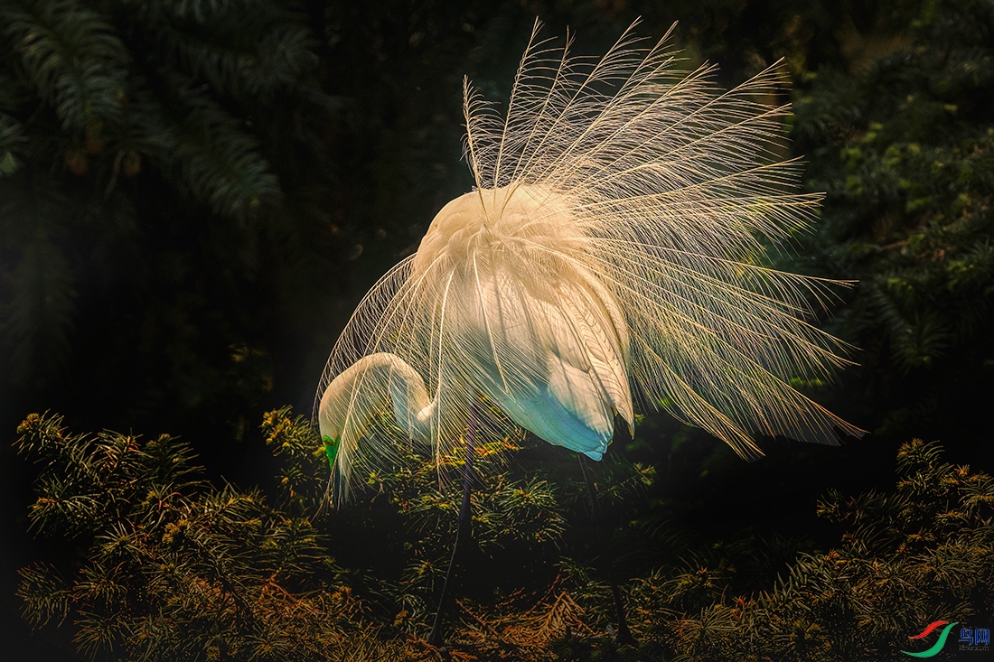 ����----��ɬ�������ɧ