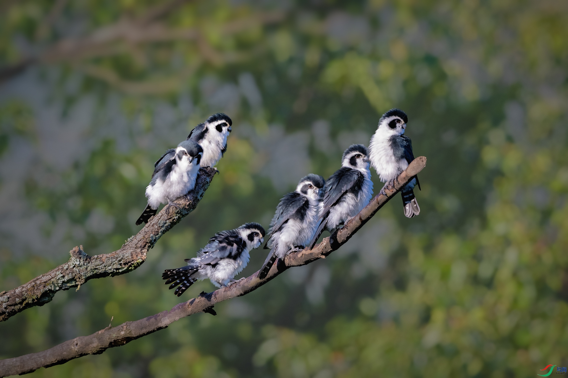 DSC_9612 ����_1.jpg