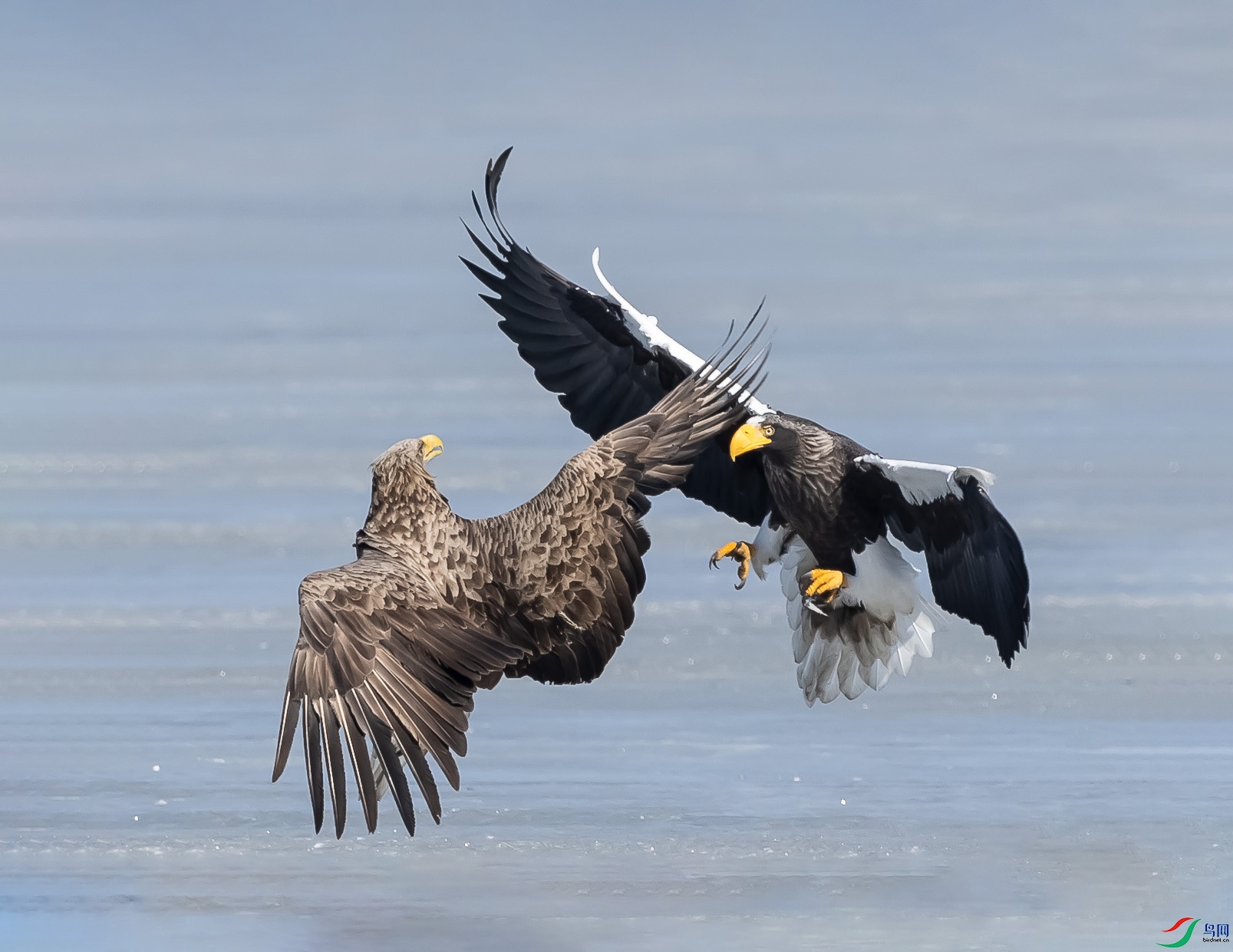 019A7681 ����.jpg