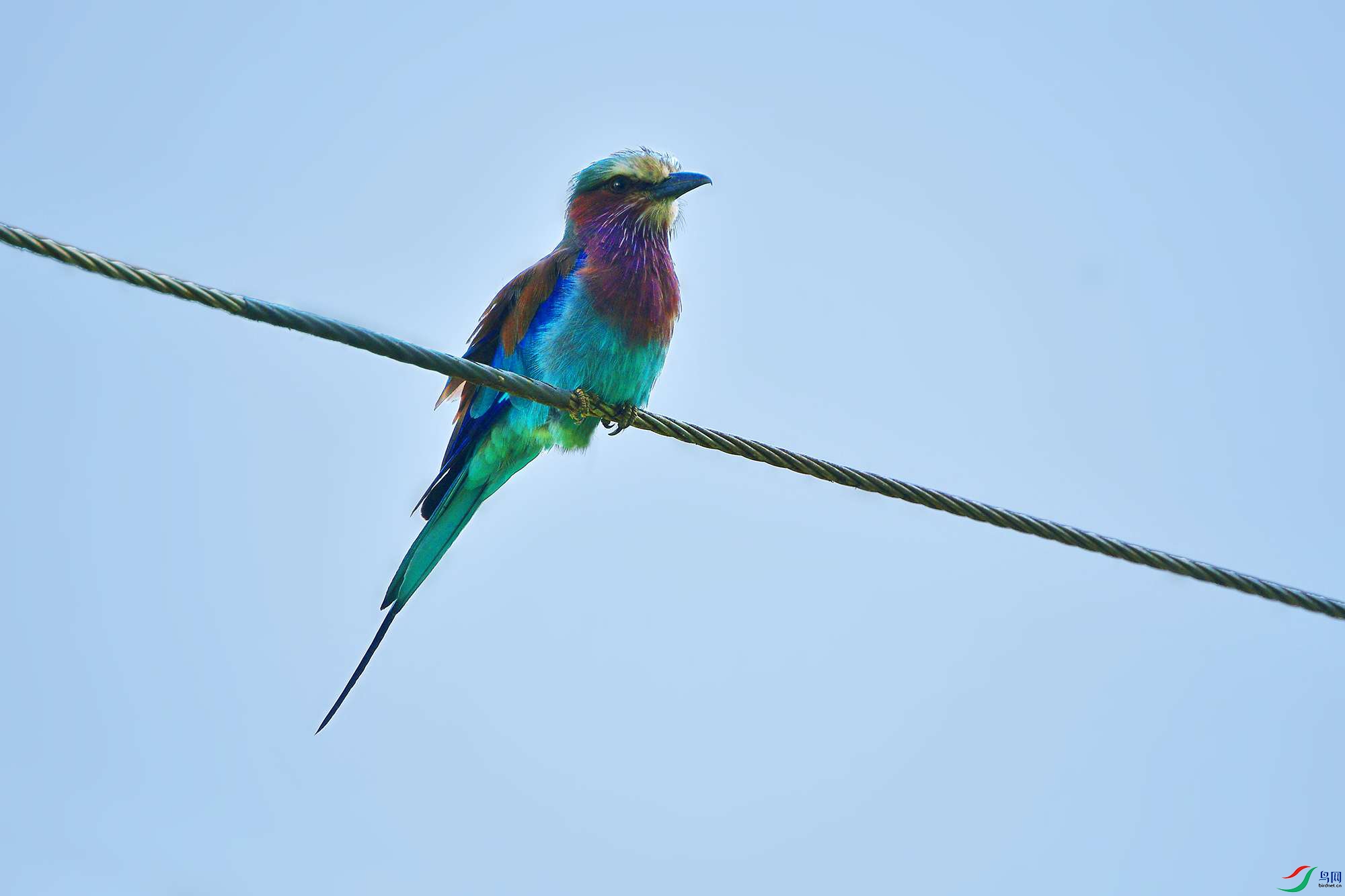 DSC_0790_.jpg