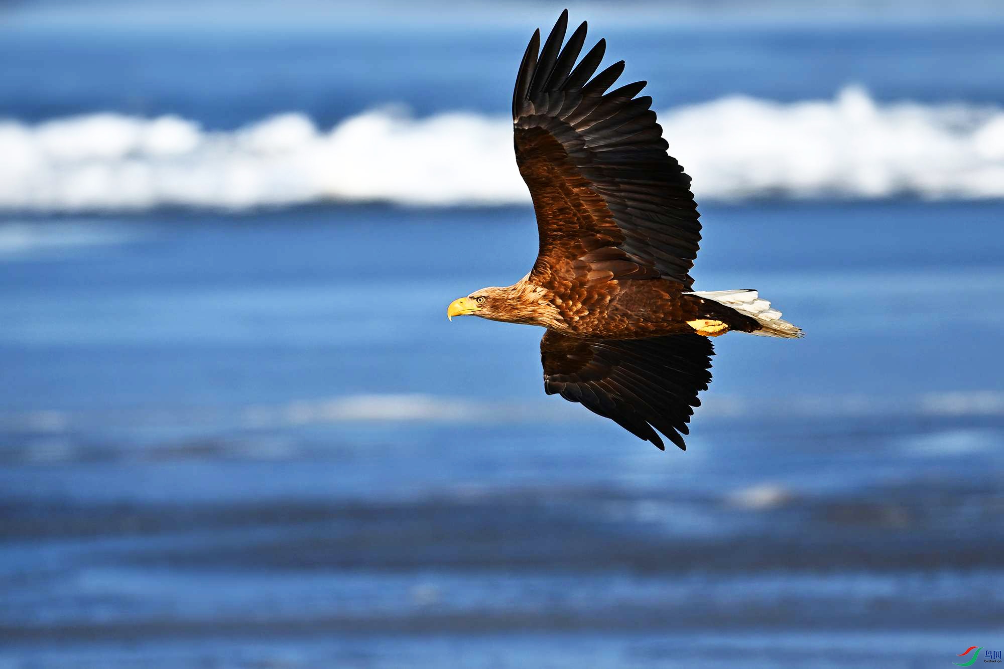 DSC_2152_.jpg