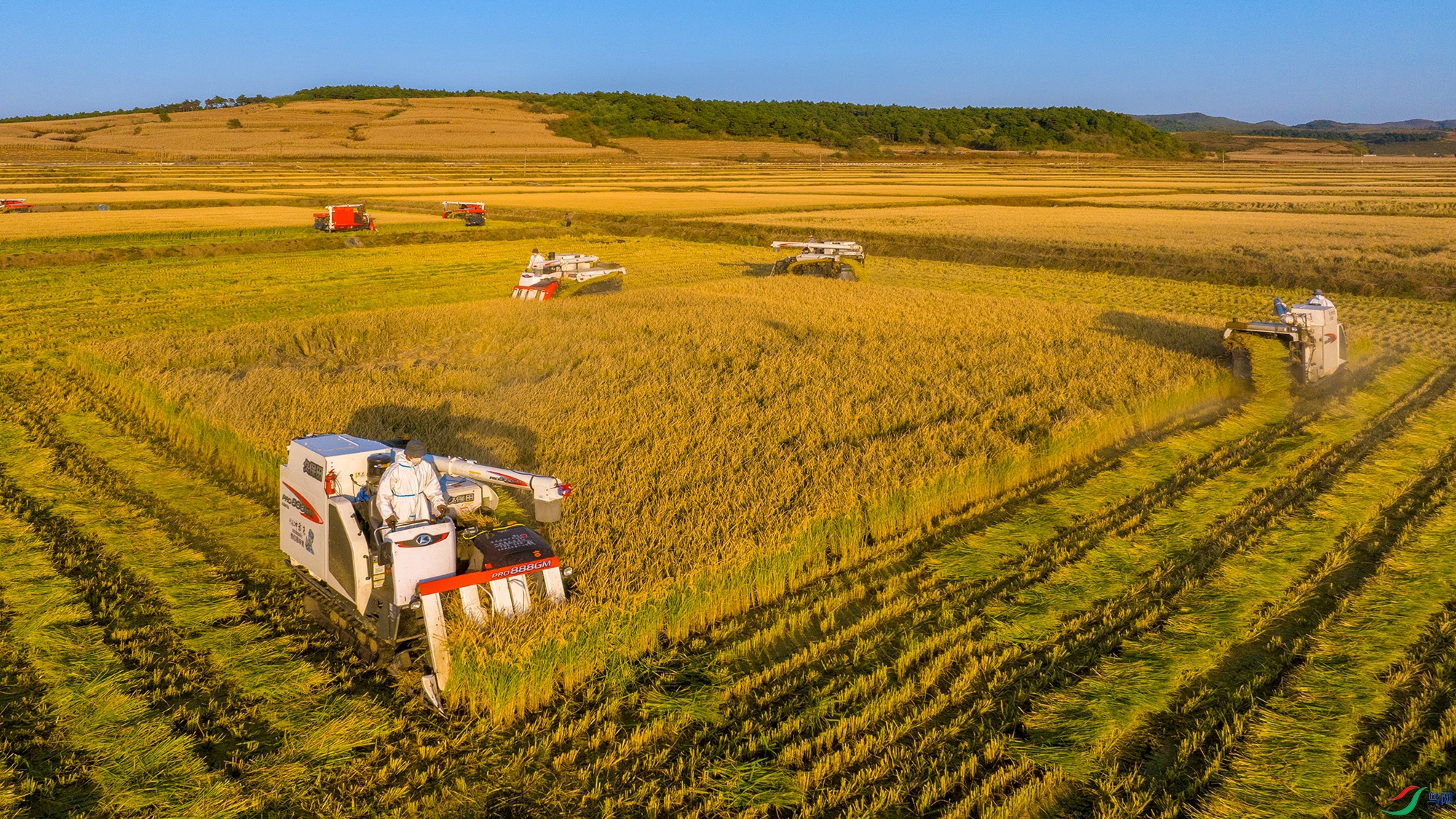 DJI_0004-1.jpg