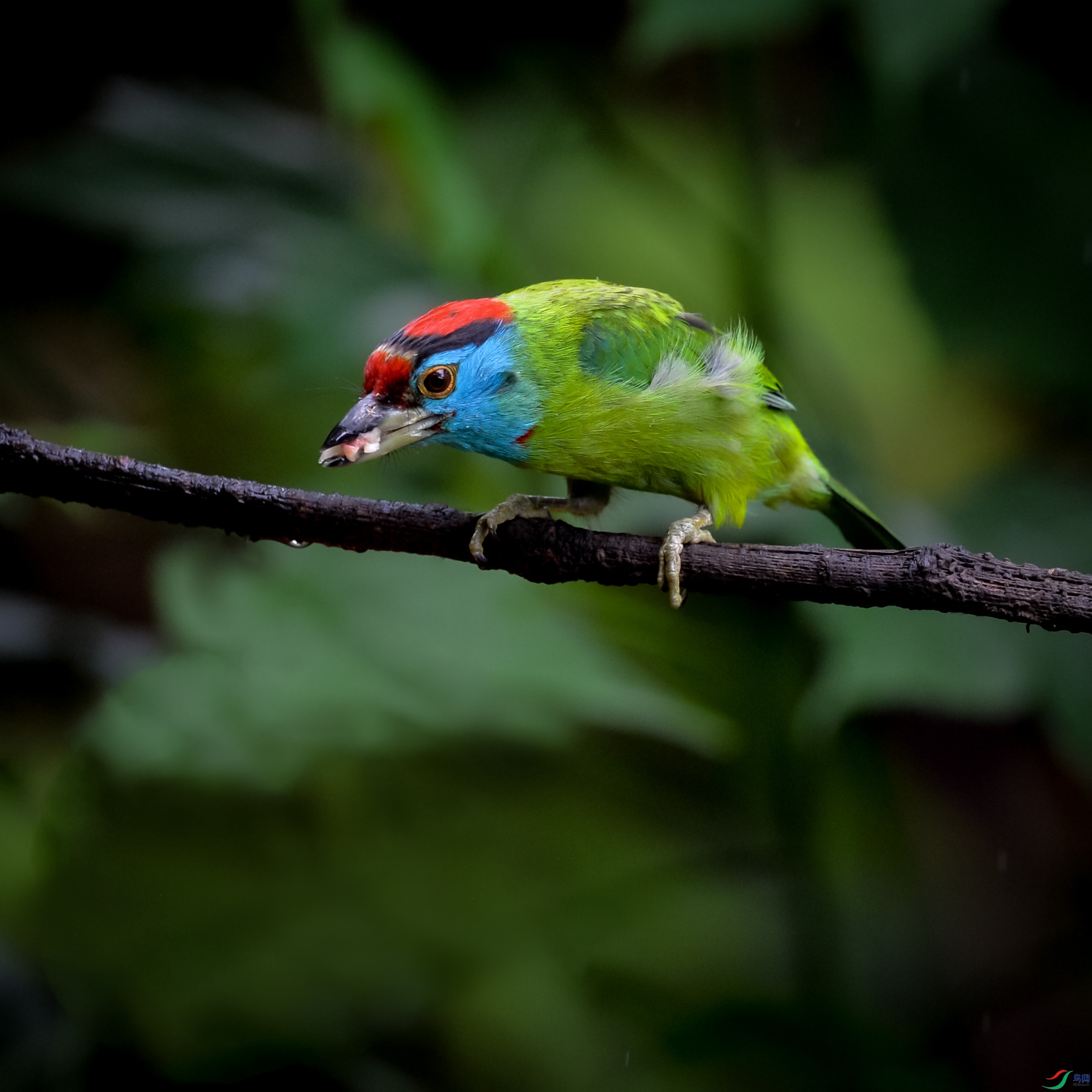 DSC_2250.jpg