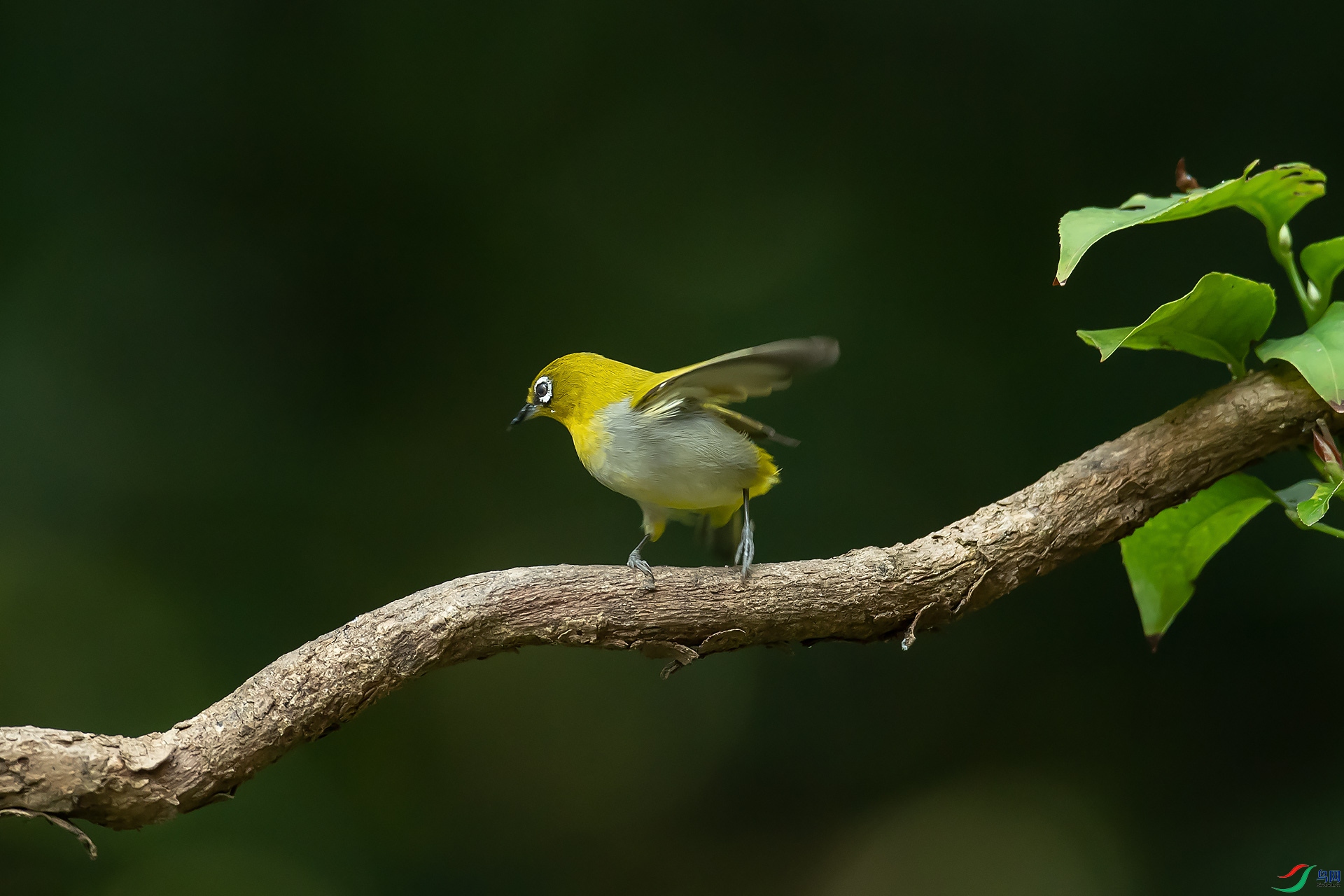 DSC_9069.jpg