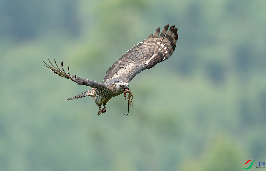 DSC_4787.png