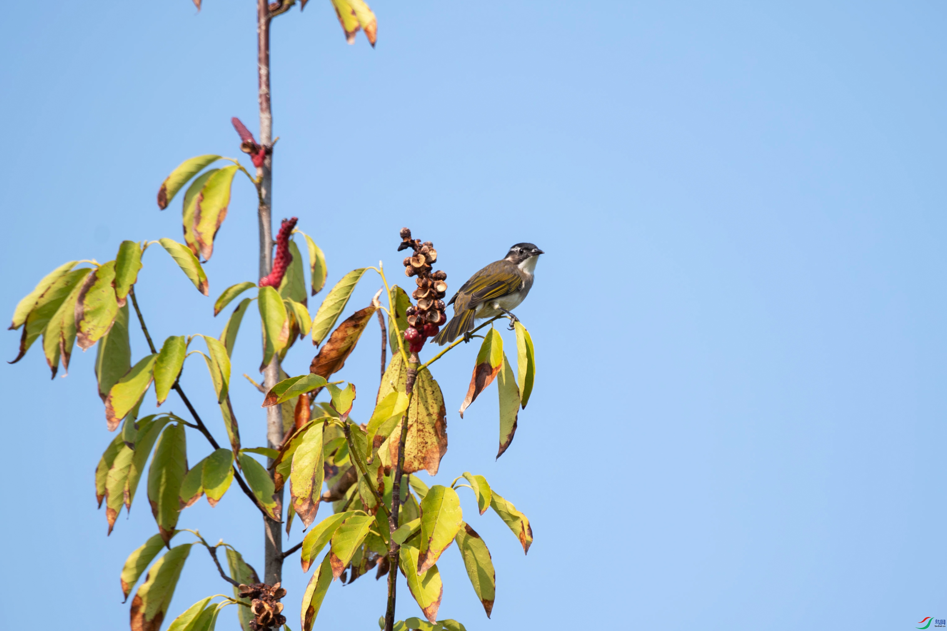 DSC_7421.jpg