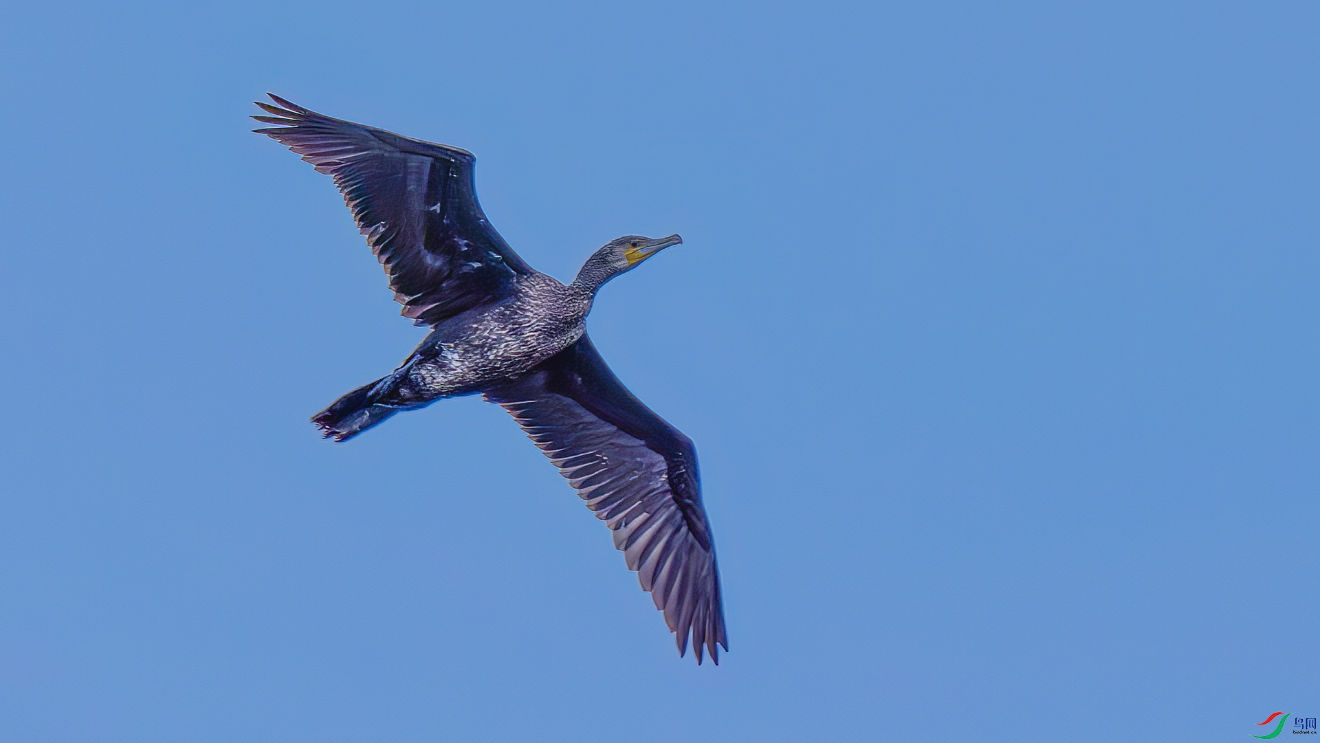 DSC03035 ���� 2.jpg