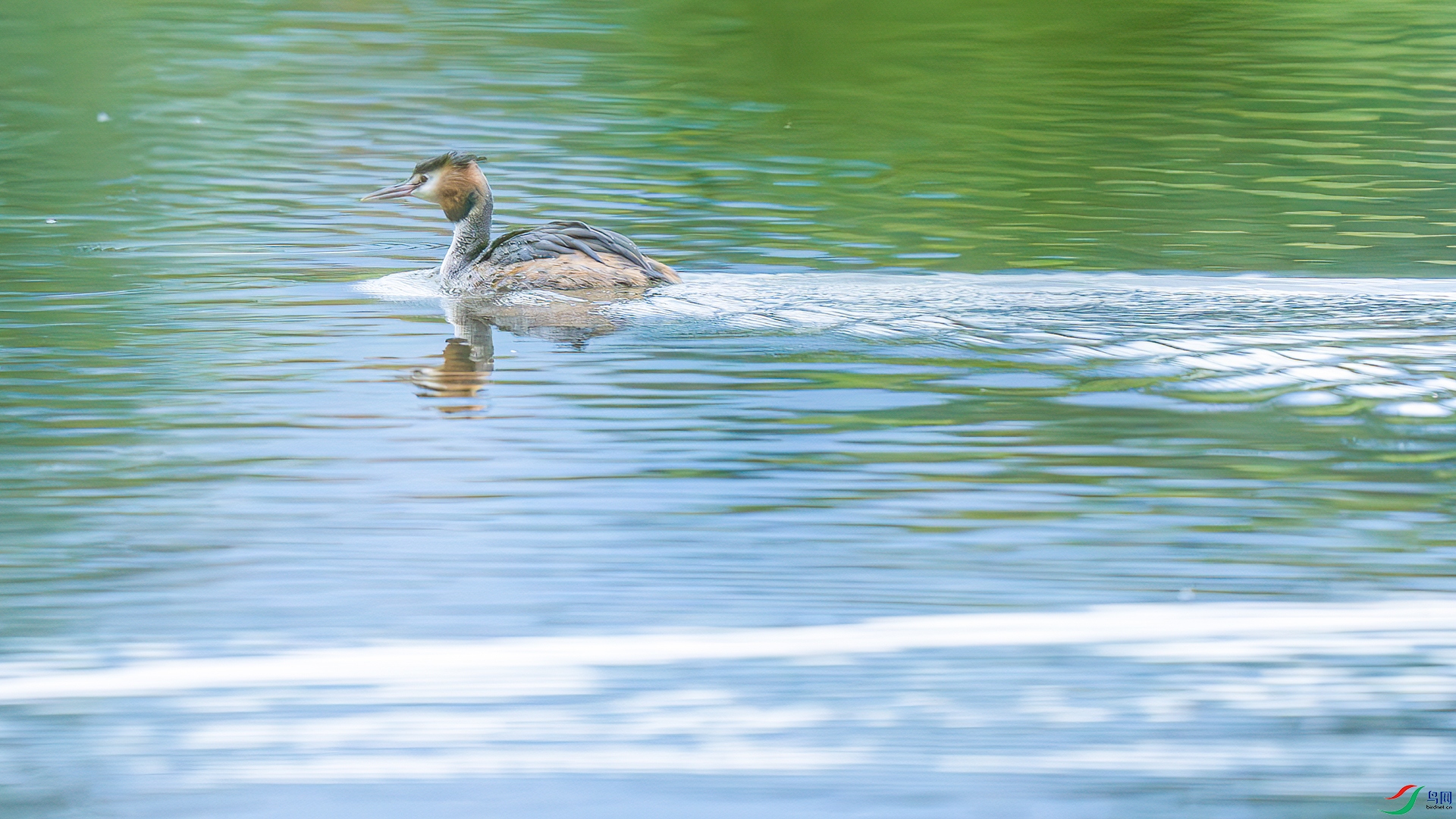 DSC03224 ���� 2.jpg