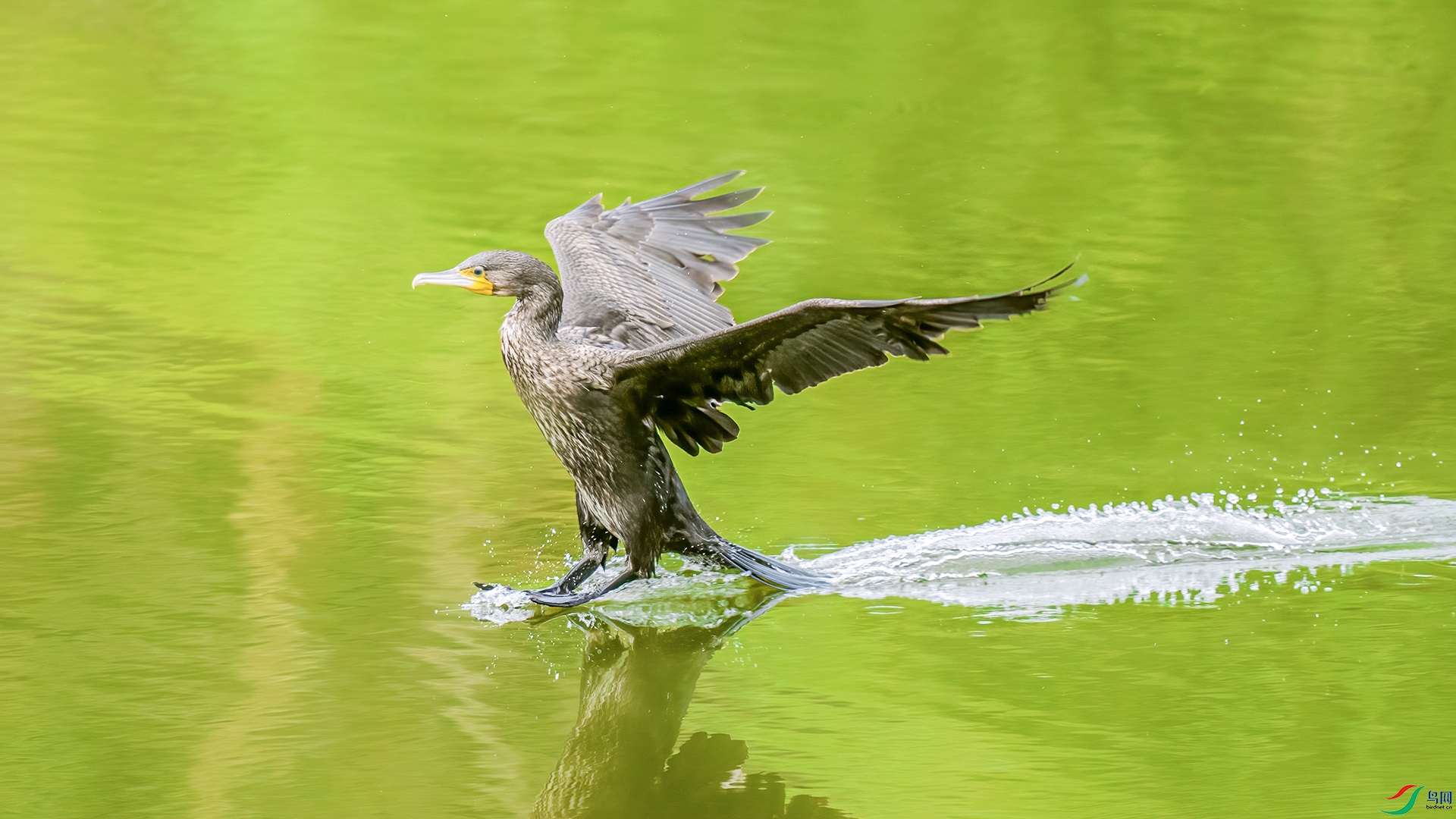 DSC06442 ���� 2.jpg