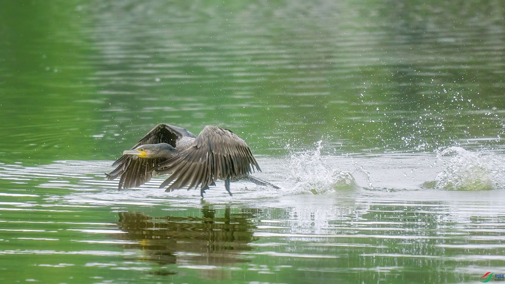 DSC08978 ���� 2.jpg