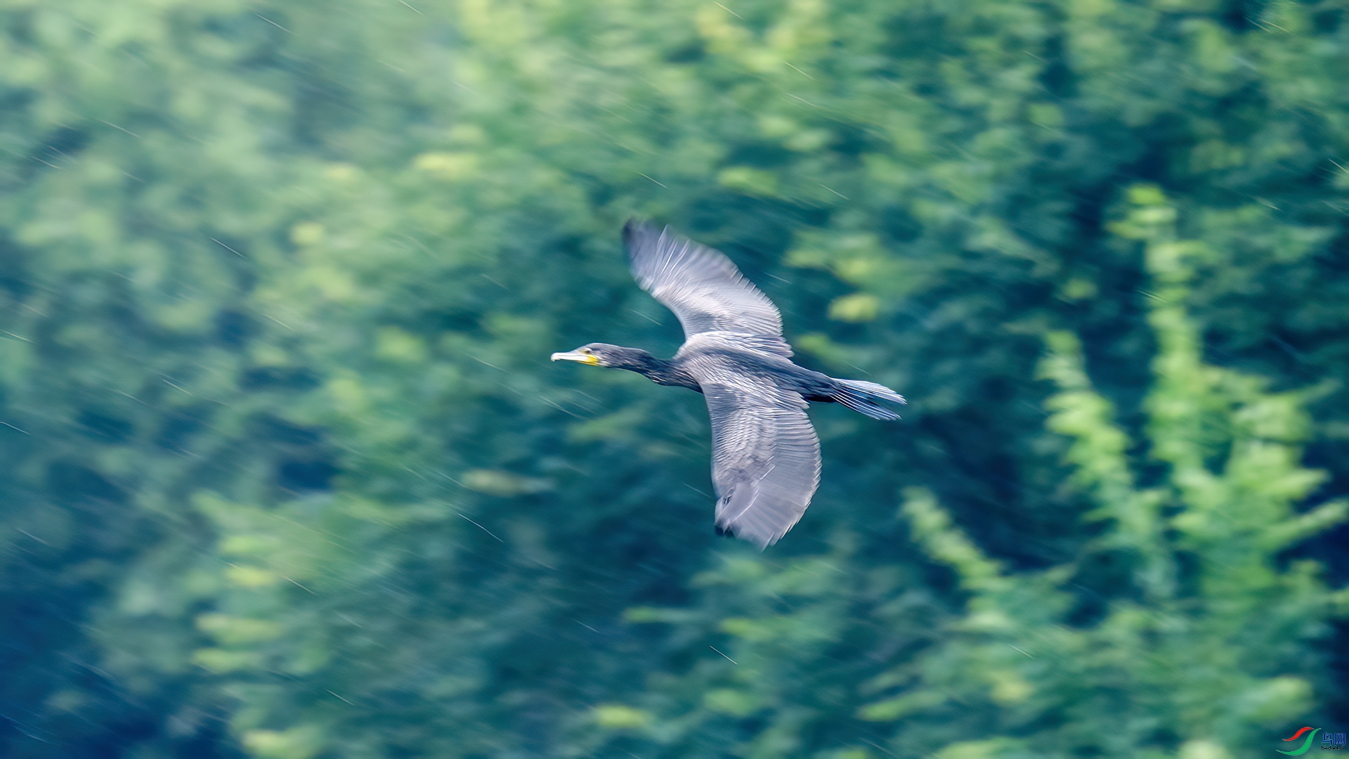 DSC02253 ����-2 ����.jpg