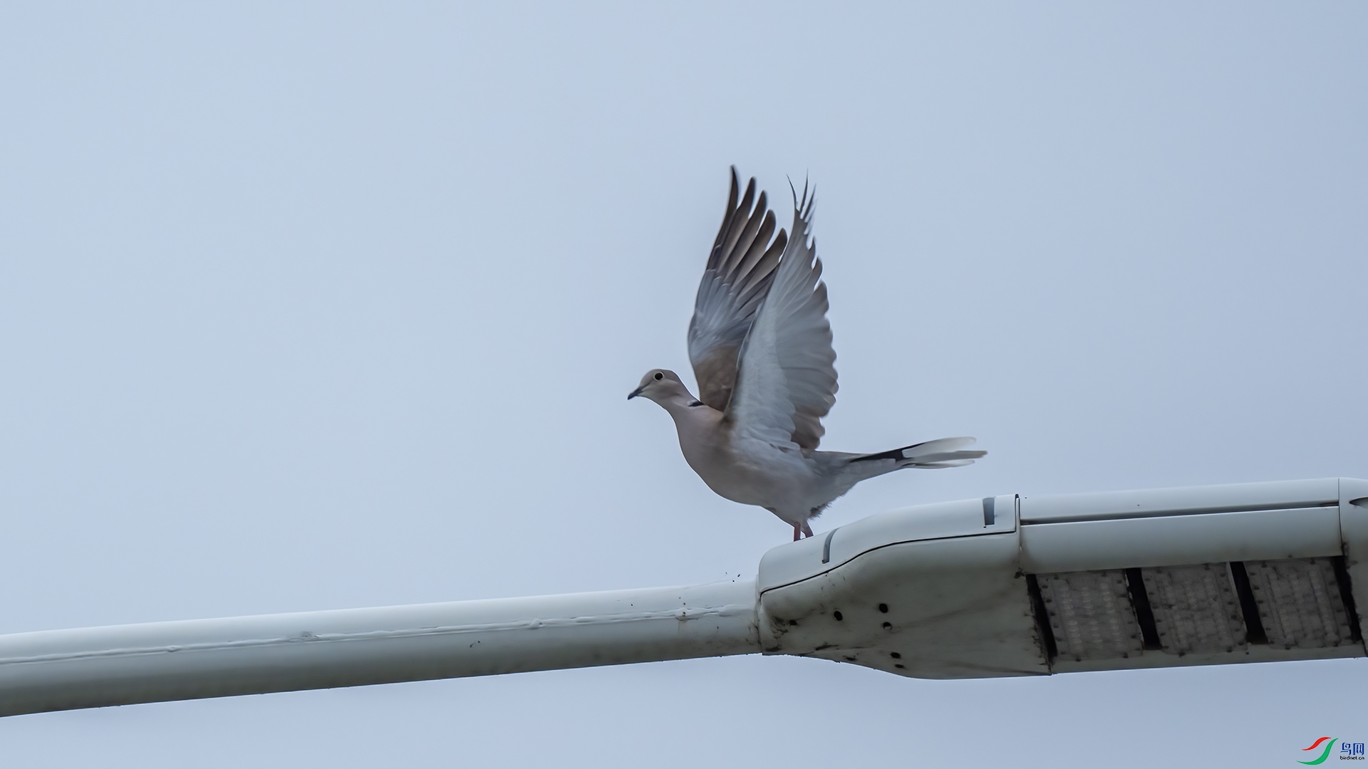 DSC00714 ���� 2.jpg