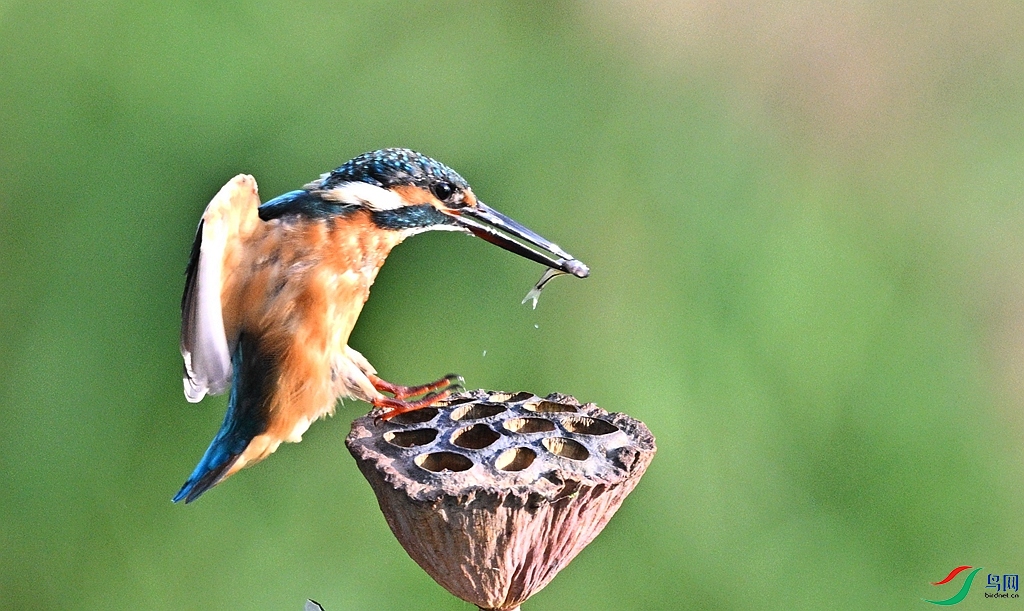 DSC_6874.JPG