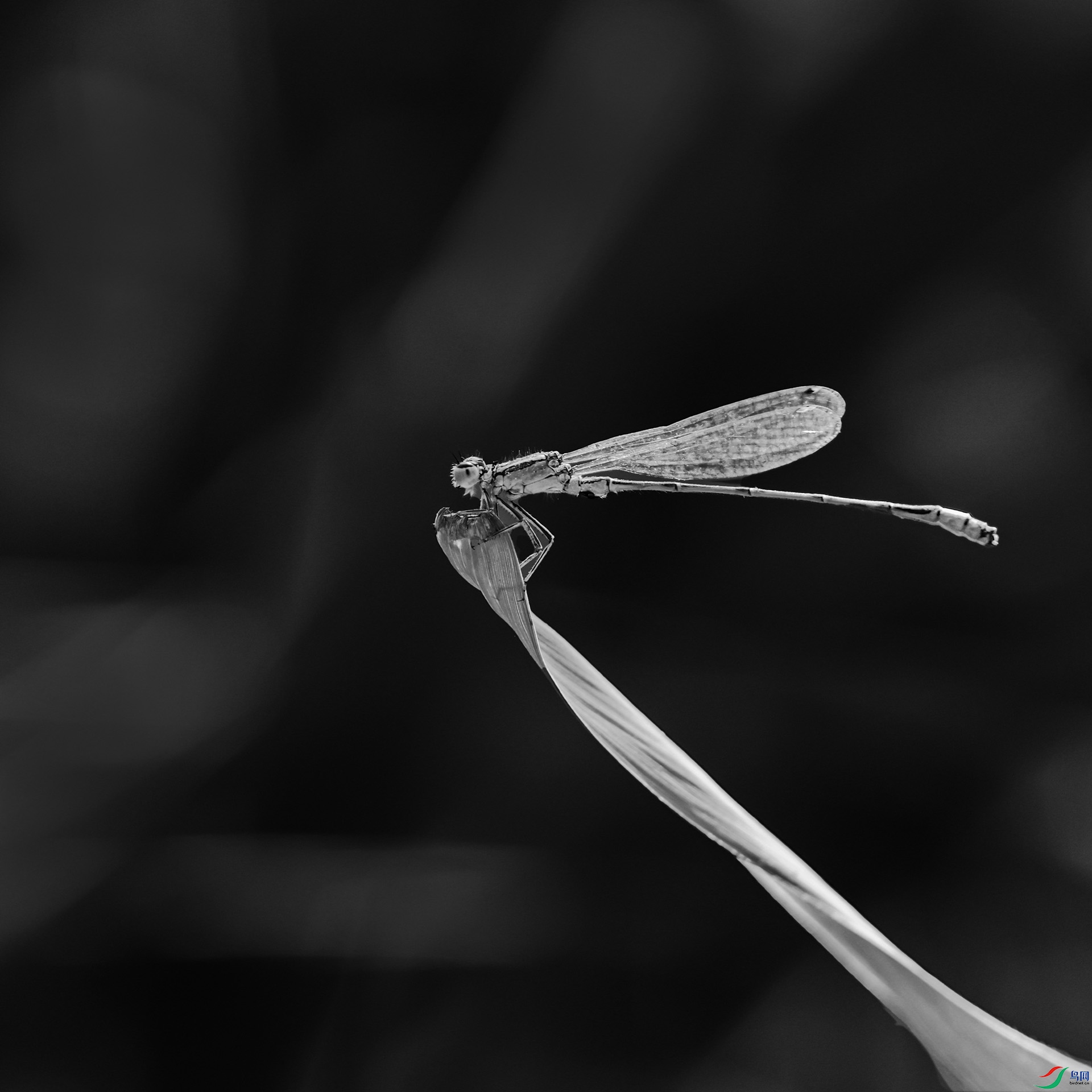 0924����.jpg