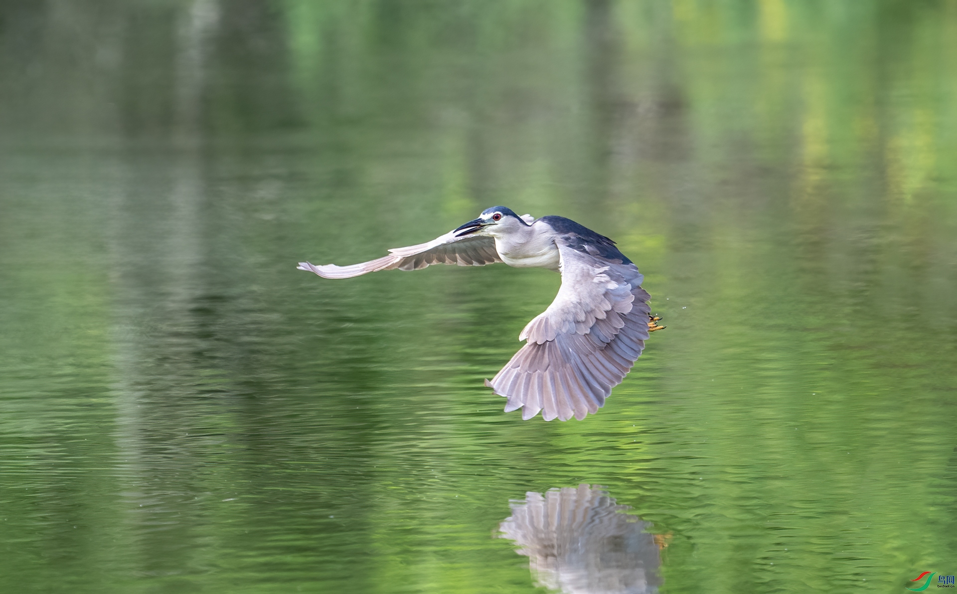 DSC_1035-1.jpg