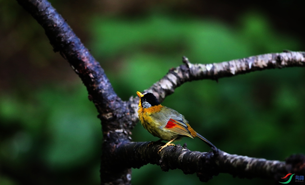 ���� IMGL1048.JPG