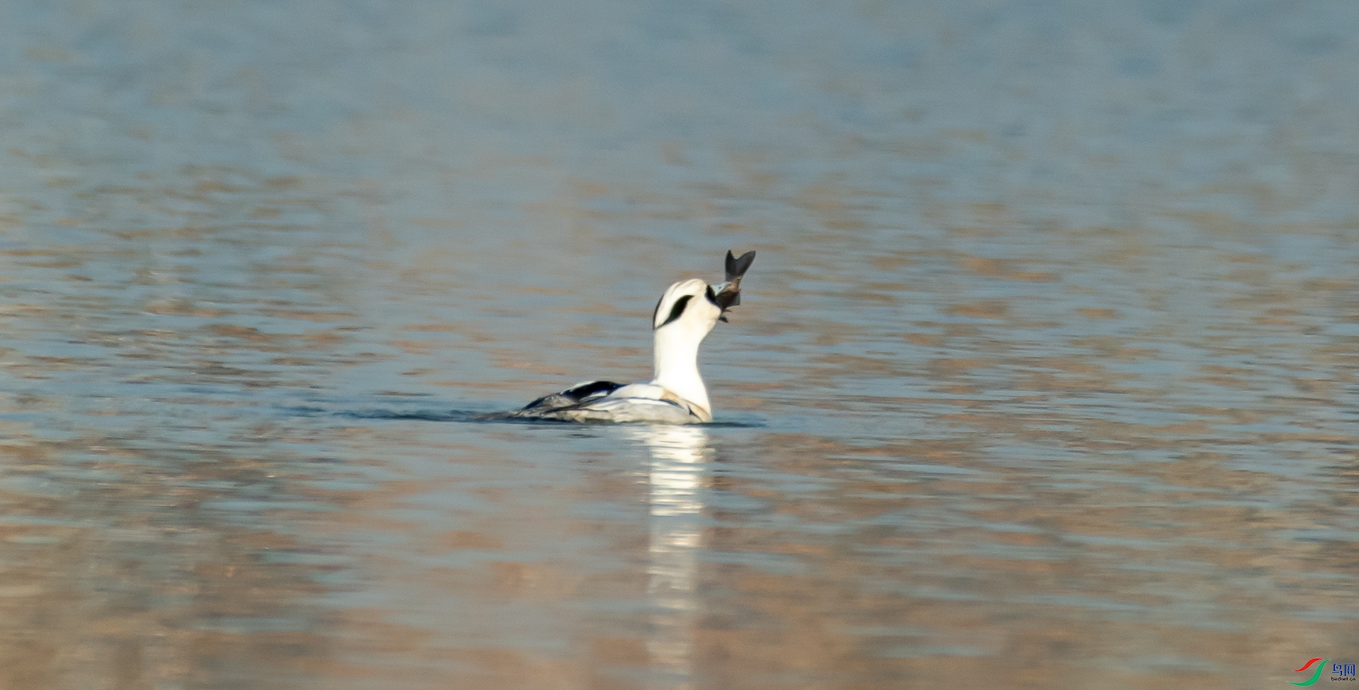 DSC_1446.jpg