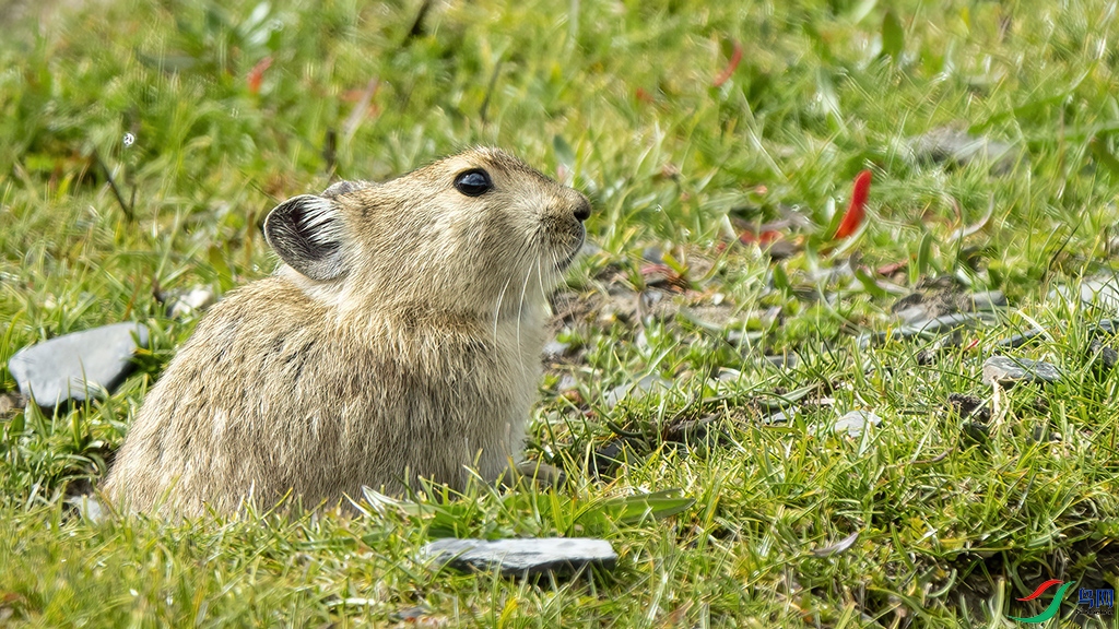 DSC07164 ����.jpg0 ����.jpg