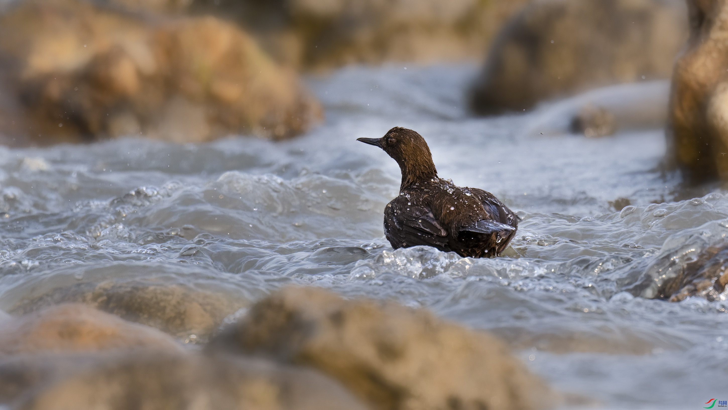 _DSC7941_DxO.jpg