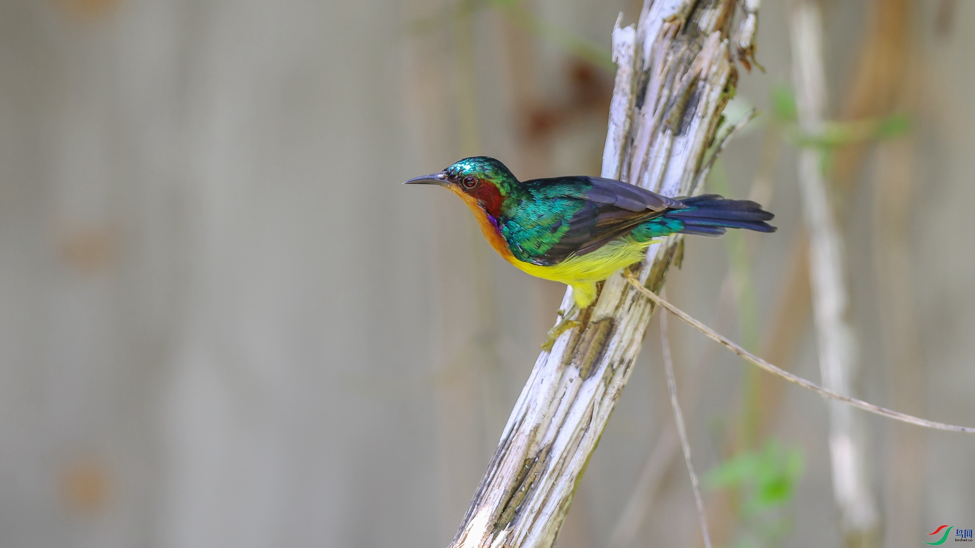 1M6A2657 ����_����.jpg