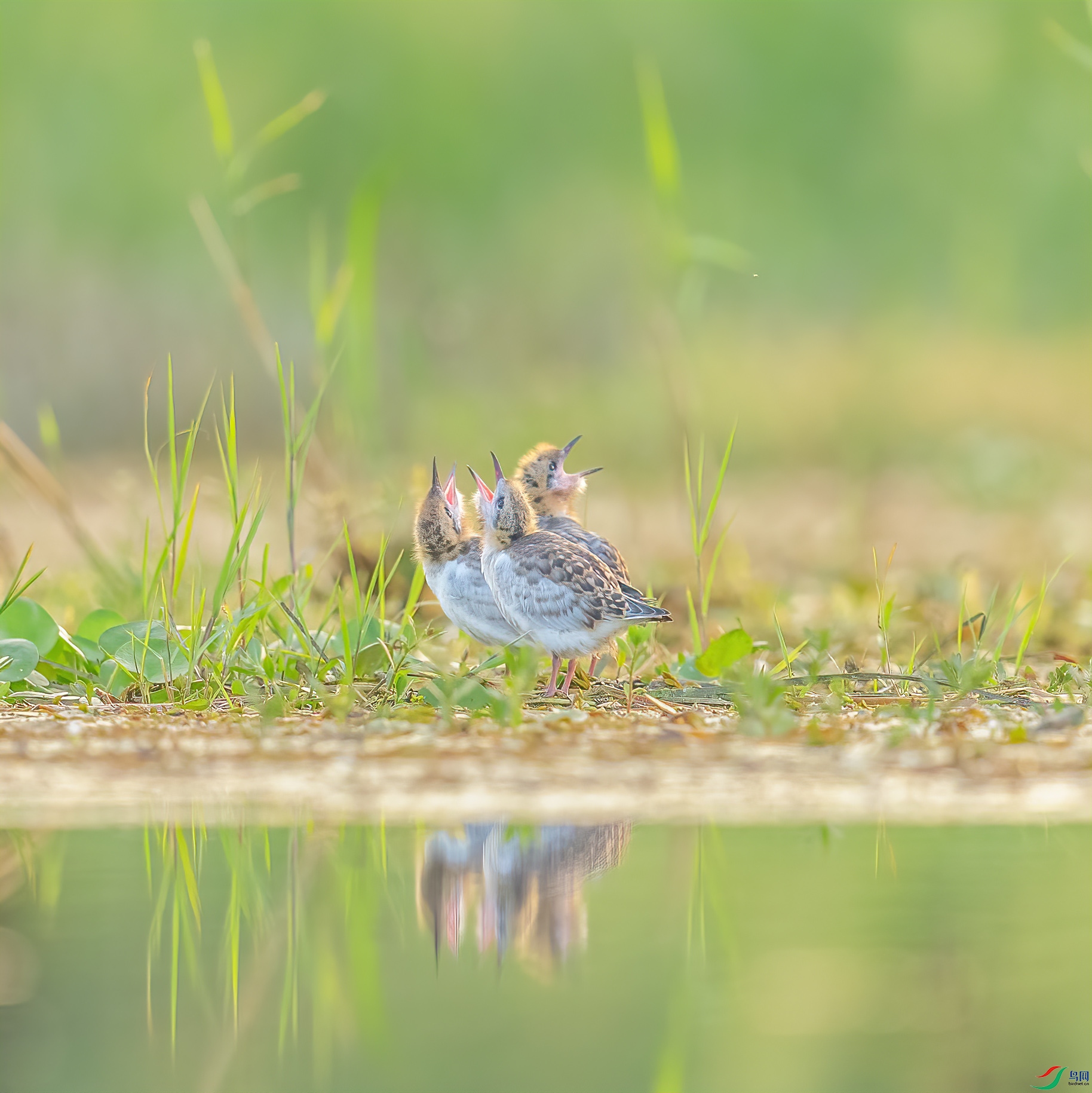 C09R0214 ����.jpg