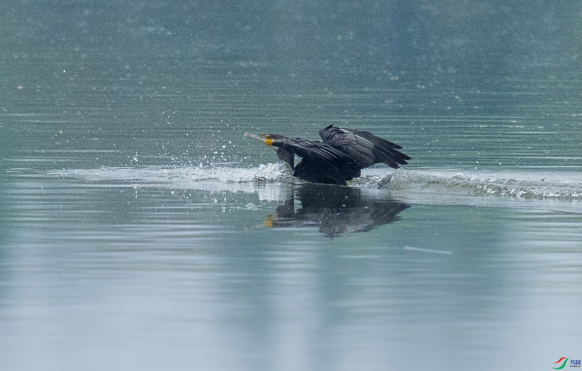 ͼƬ4 ����.jpg