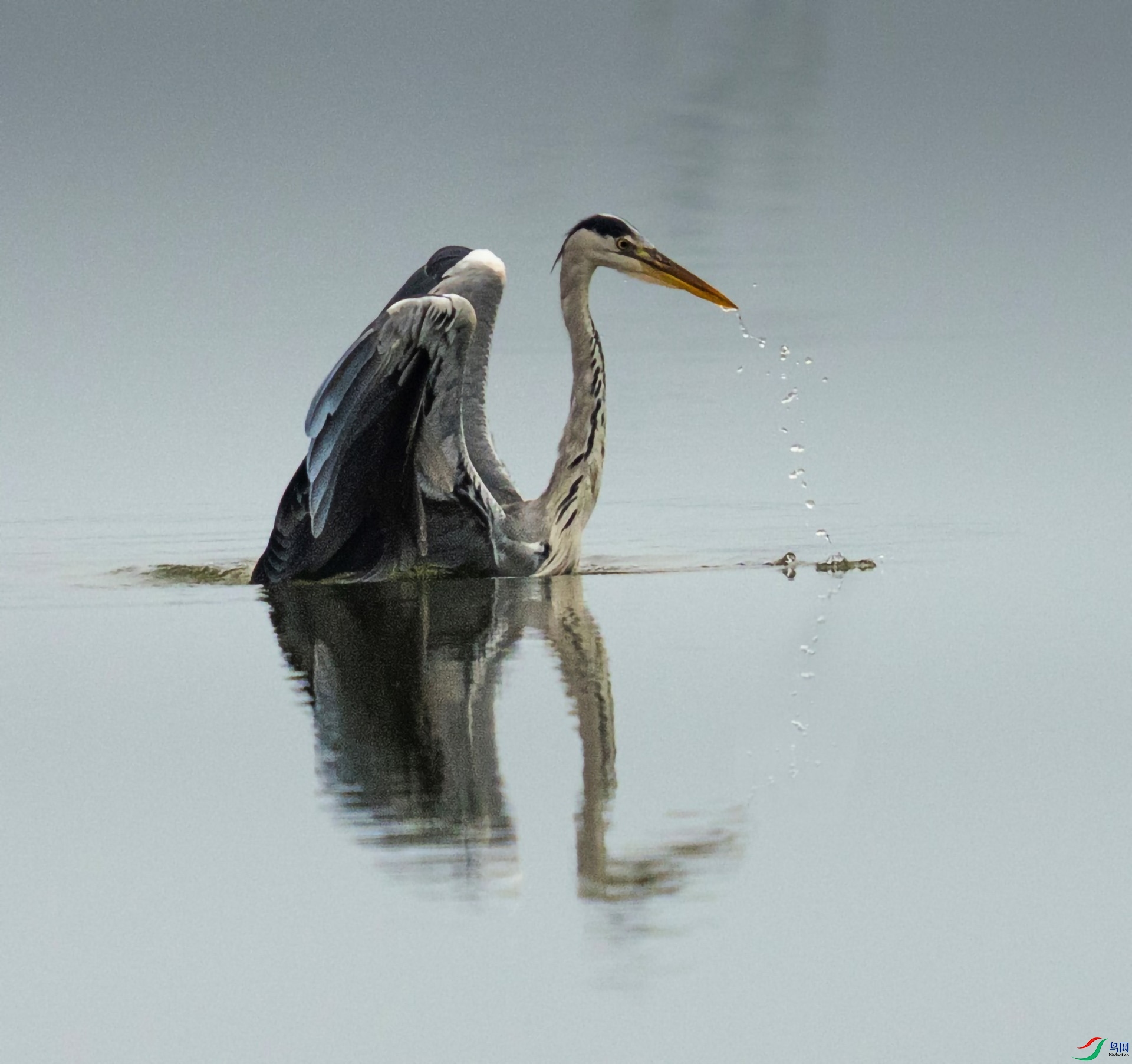 ͼƬ5 ����.jpg