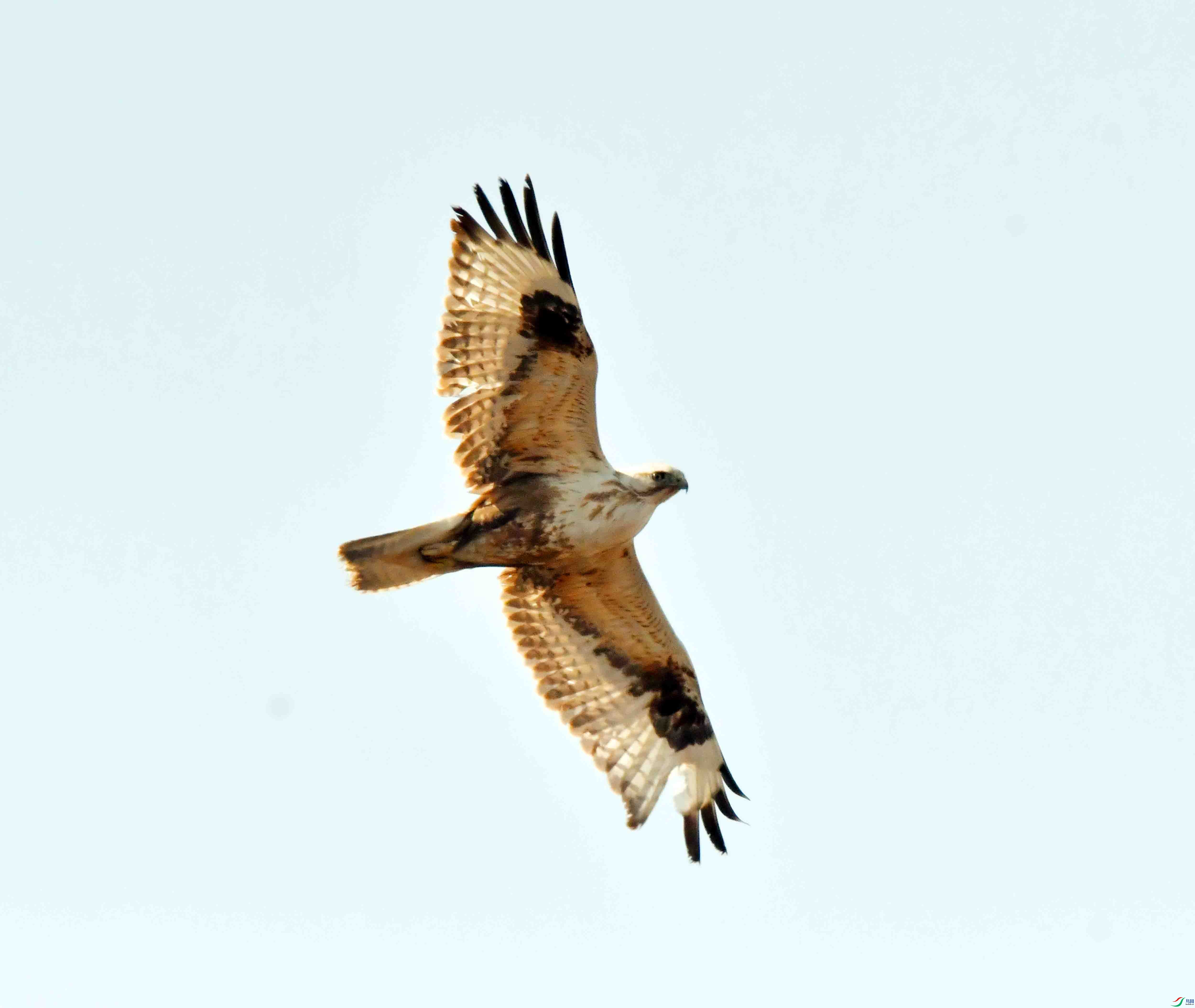 DSC_1755.JPG
