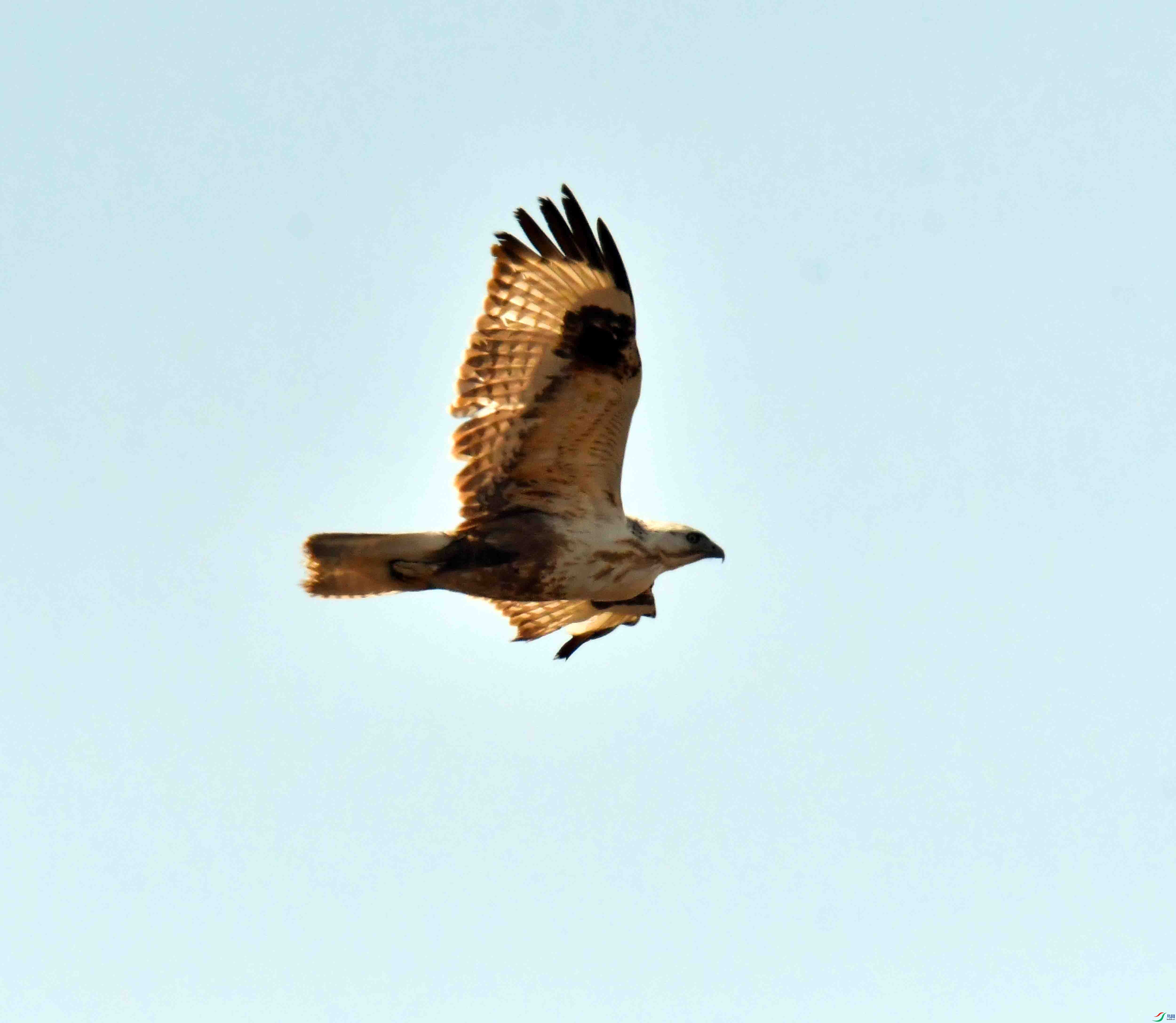DSC_1757.JPG