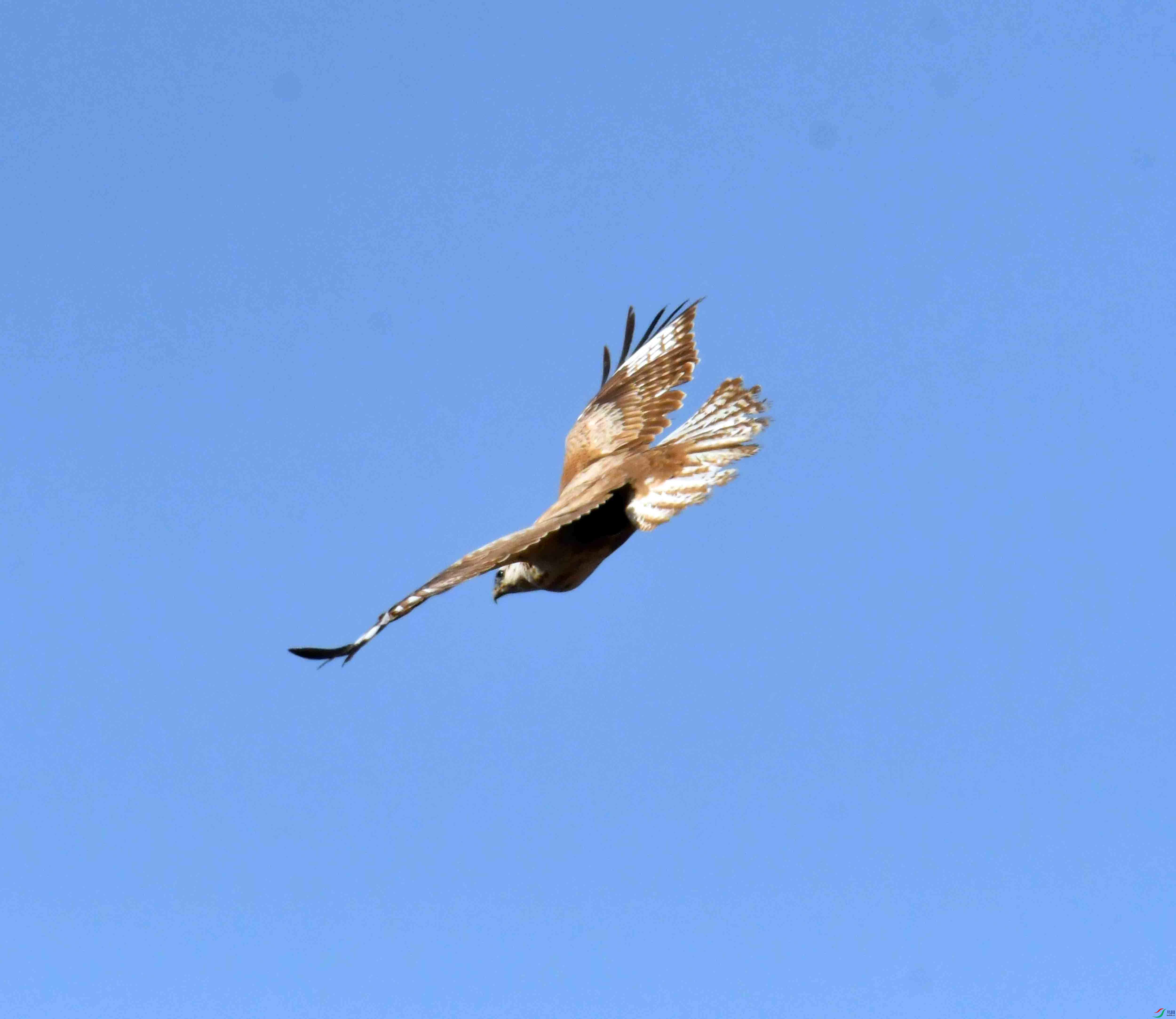 DSC_1762.JPG