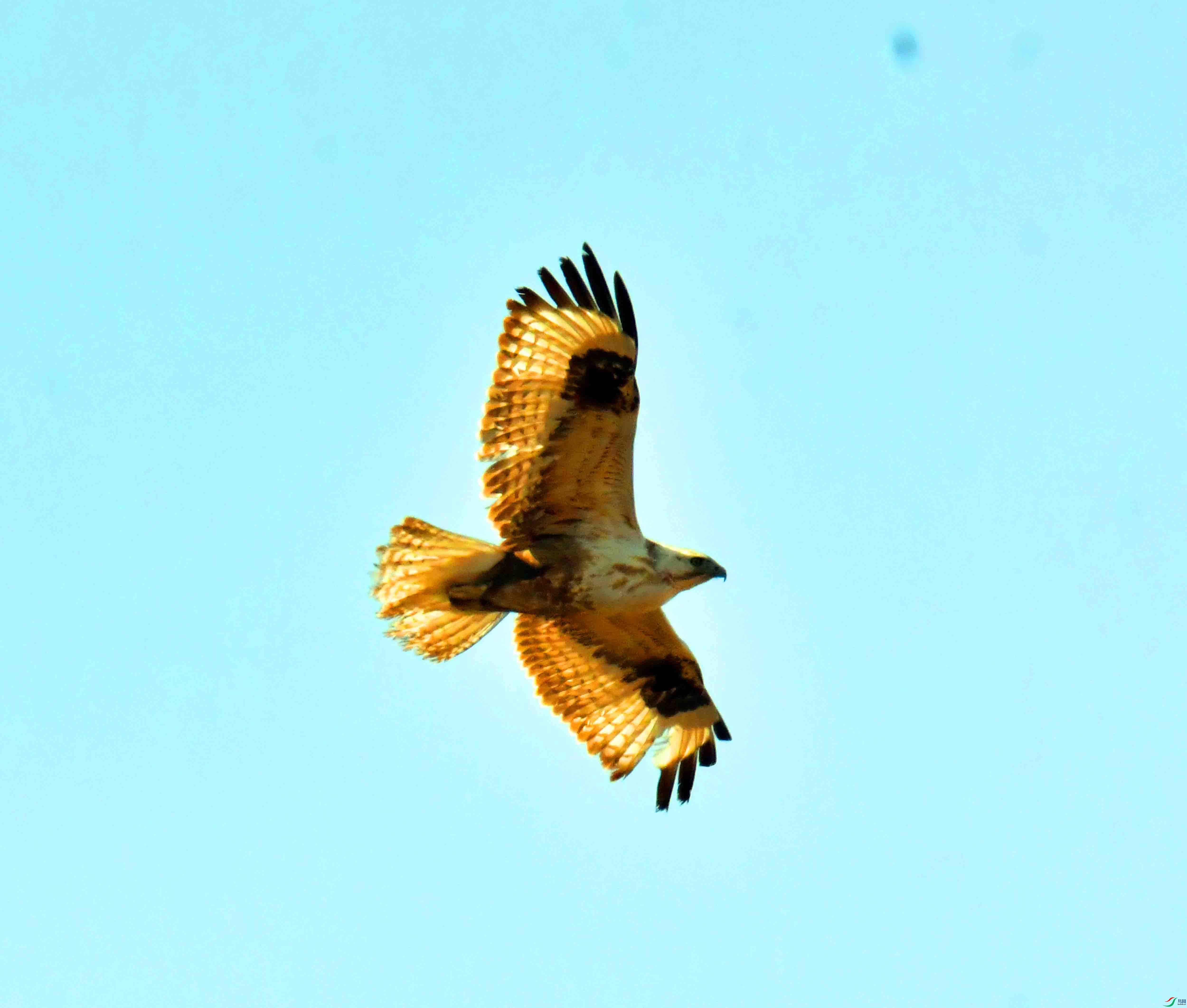 DSC_1783.JPG