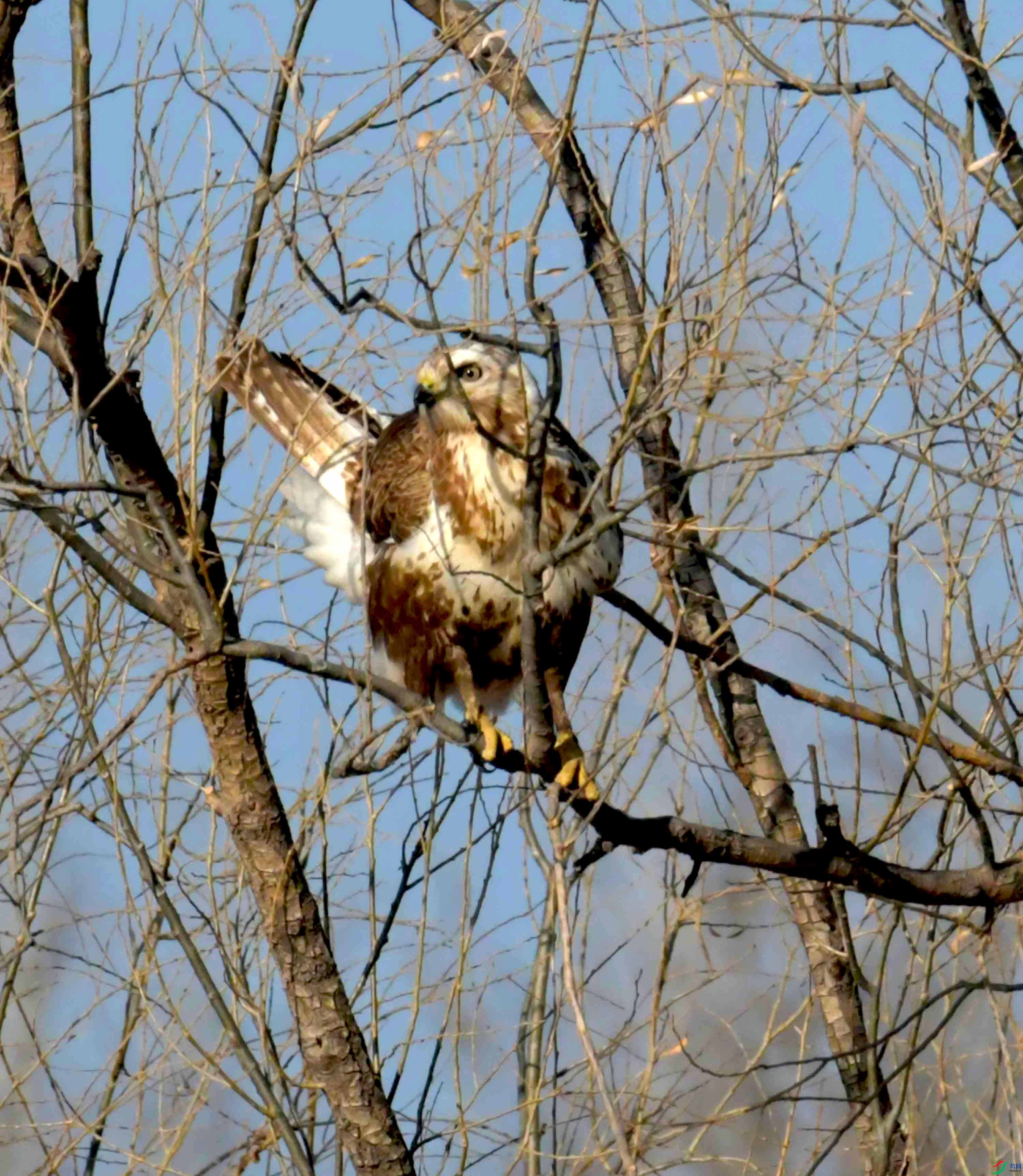 DSC_3137.JPG