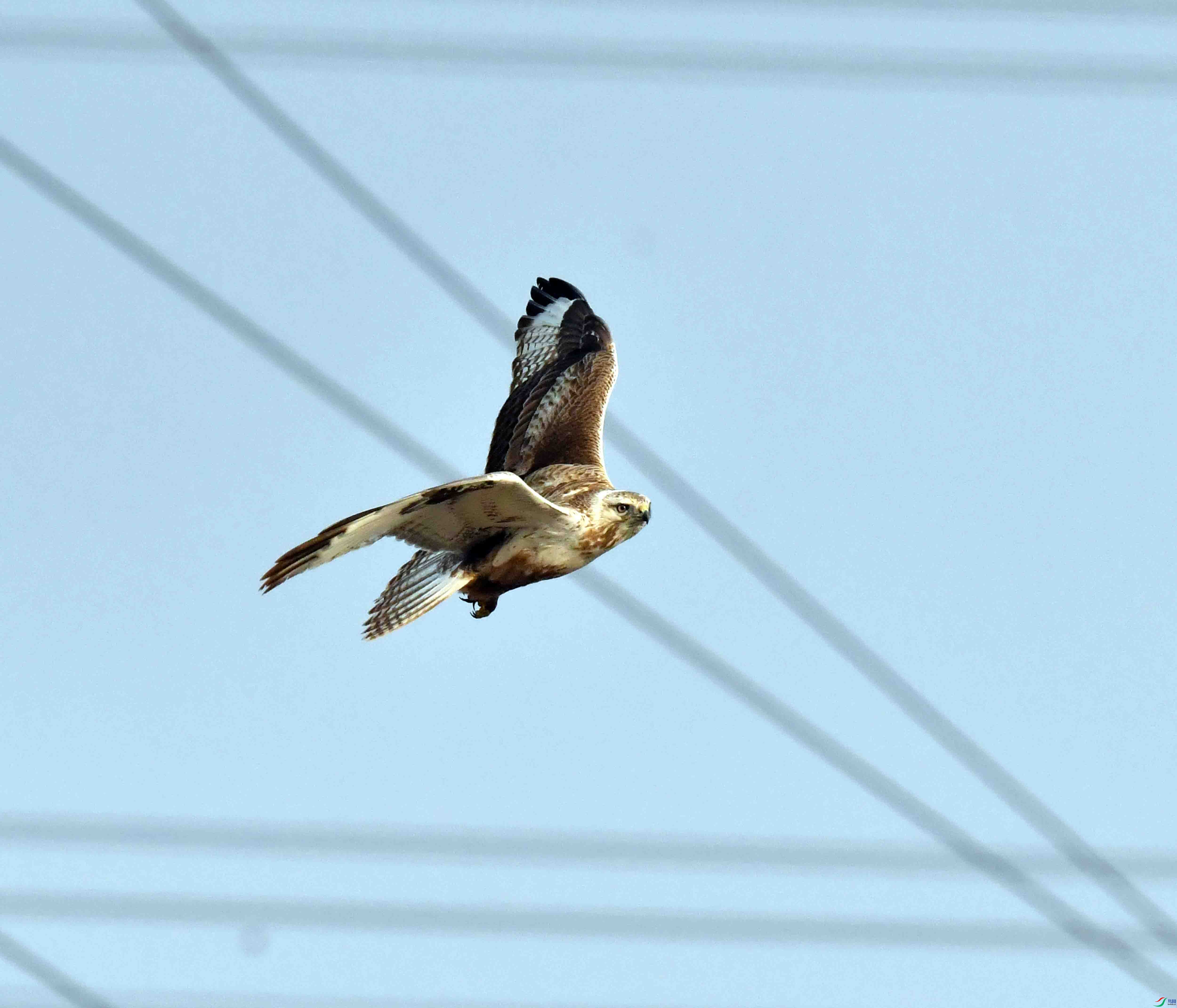 DSC_6194.JPG