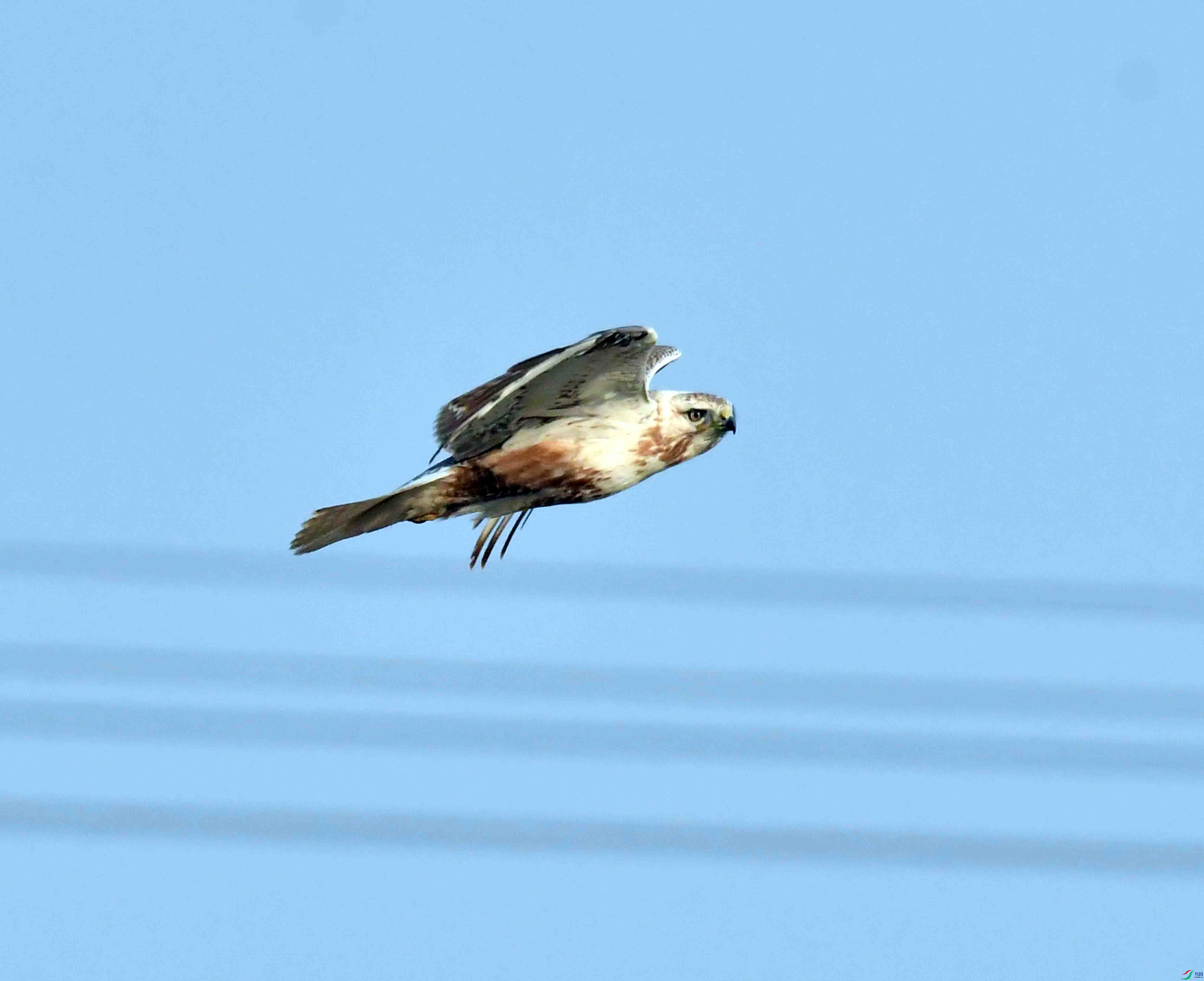 DSC_6193.JPG