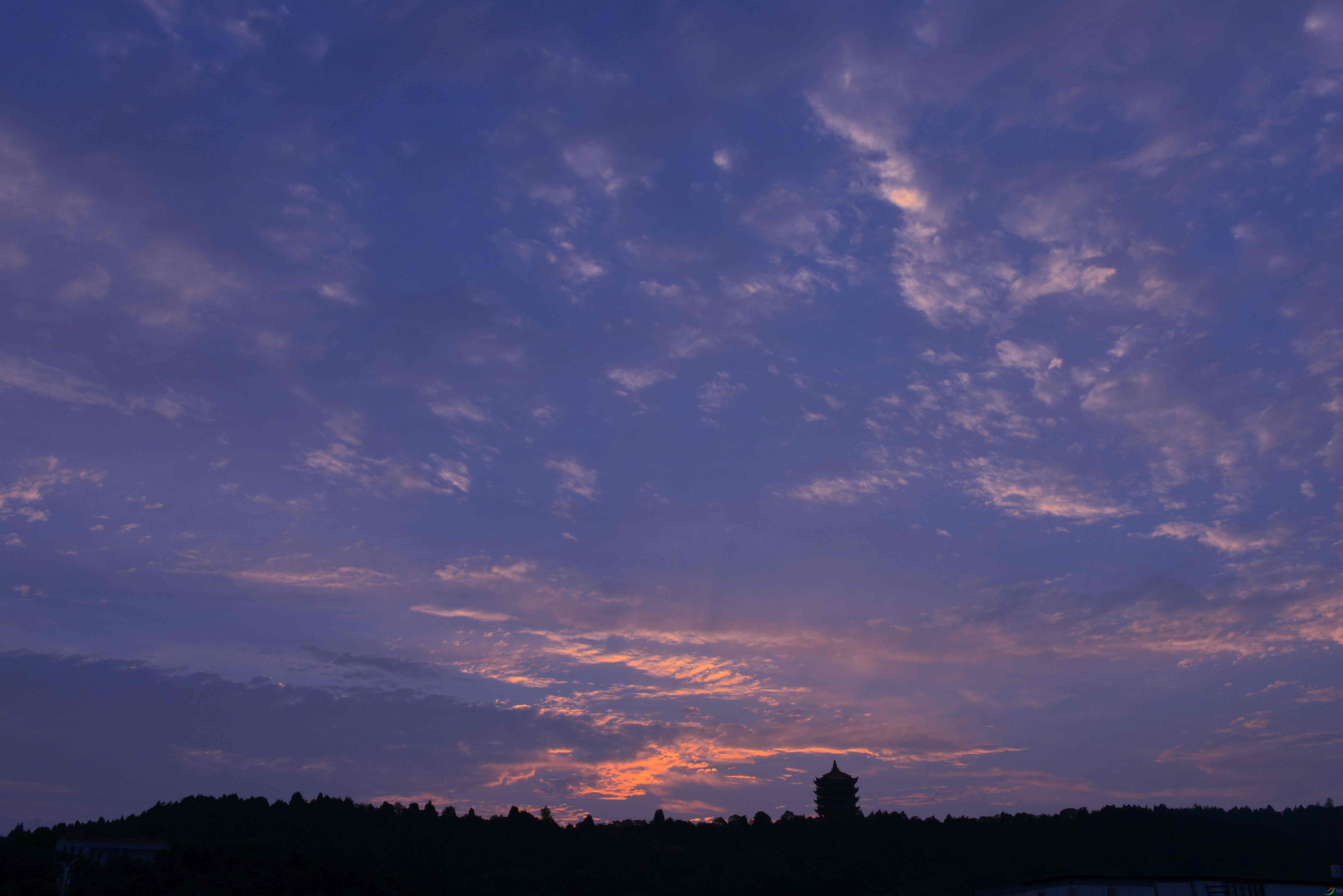 DSC_6872.JPG