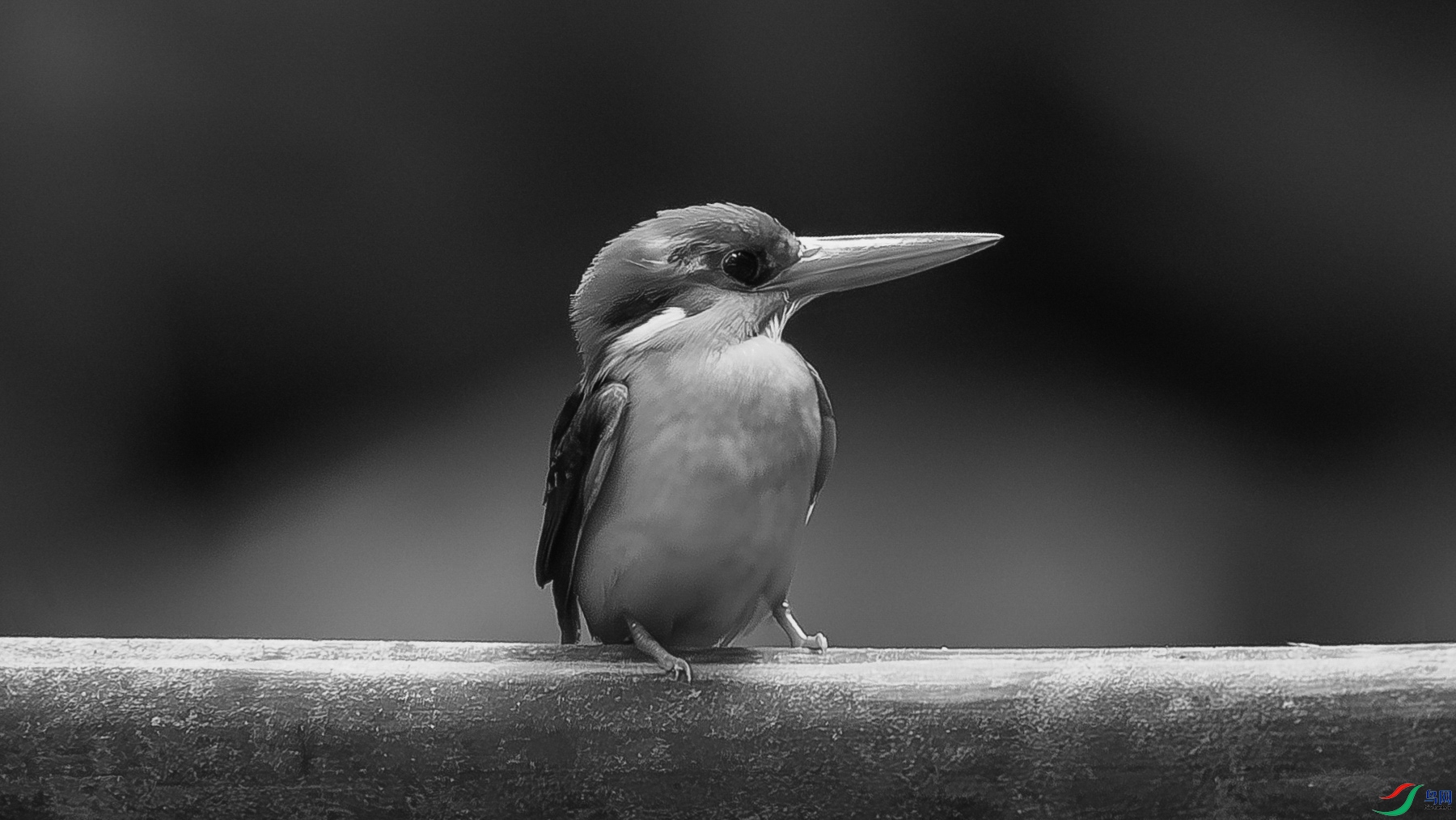 4F8A7222-2.jpg