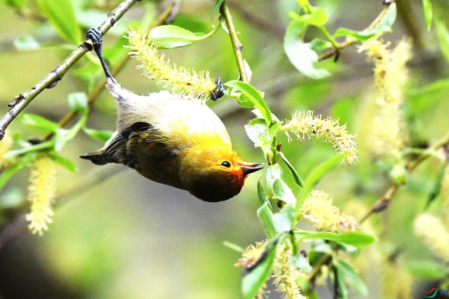 DSC_5077_����.jpg