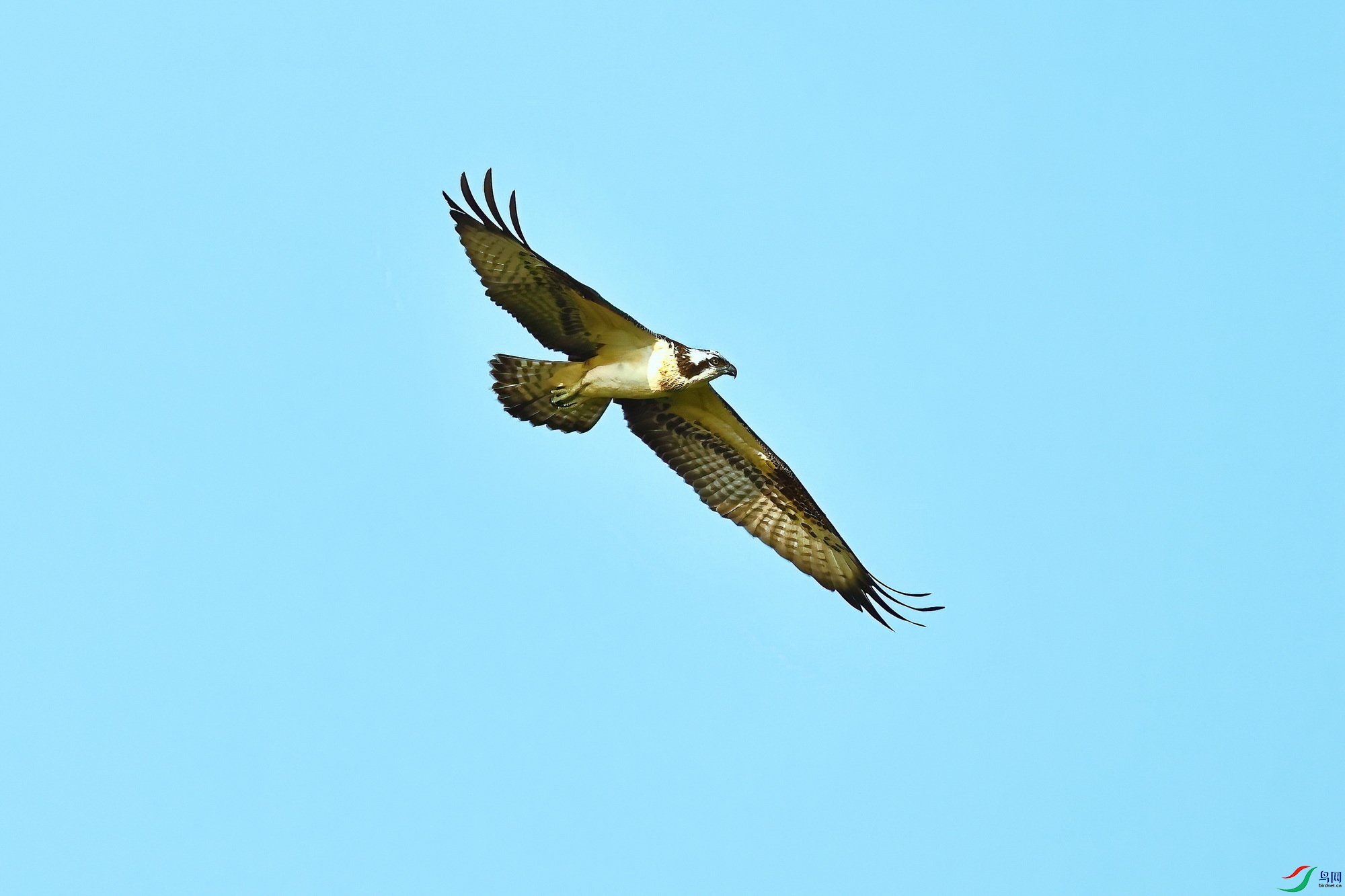 IMG_8566-1.JPG