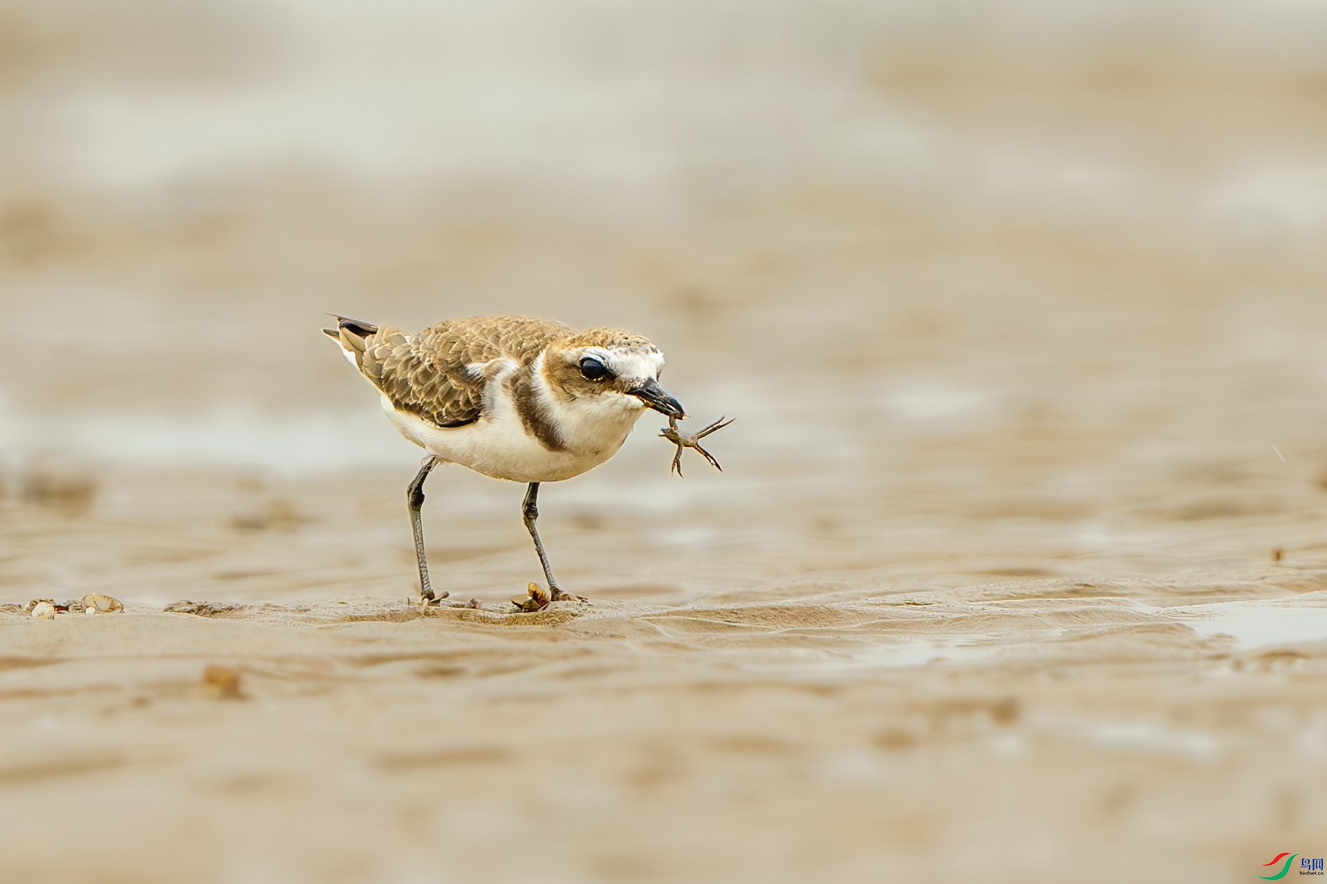 _DSC0722-����ǿ-NR ��С.jpg