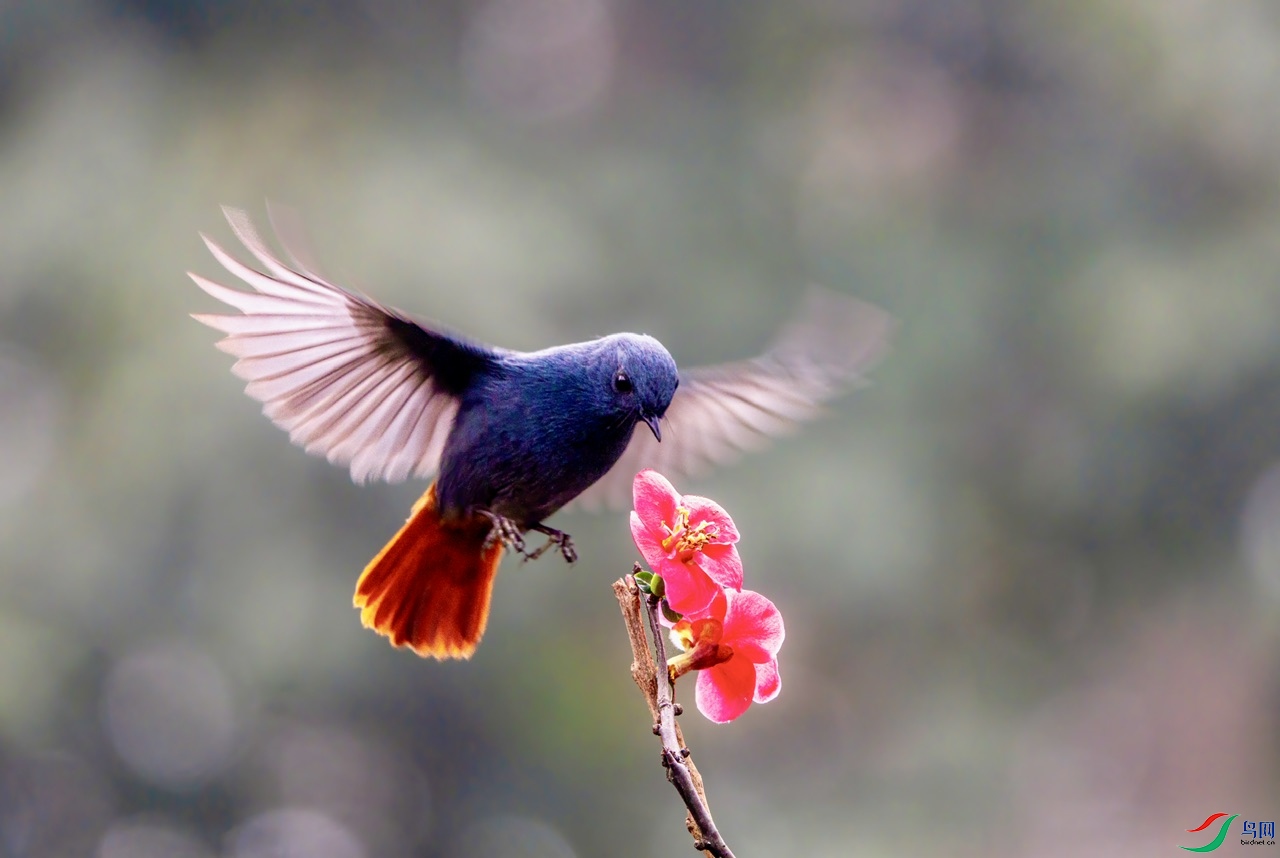 DSC05865-����ǿ ����.jpeg