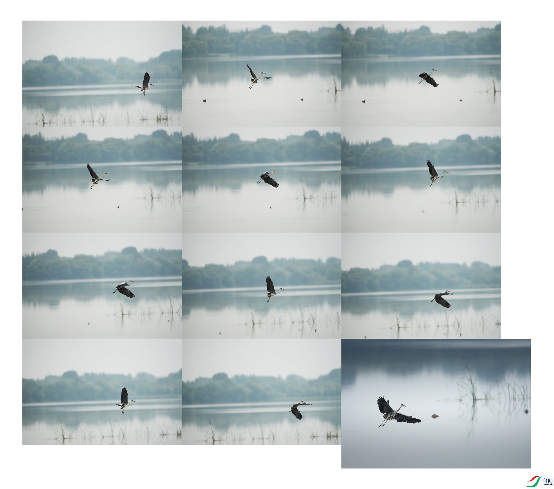 ͼƬ2 ����.jpg