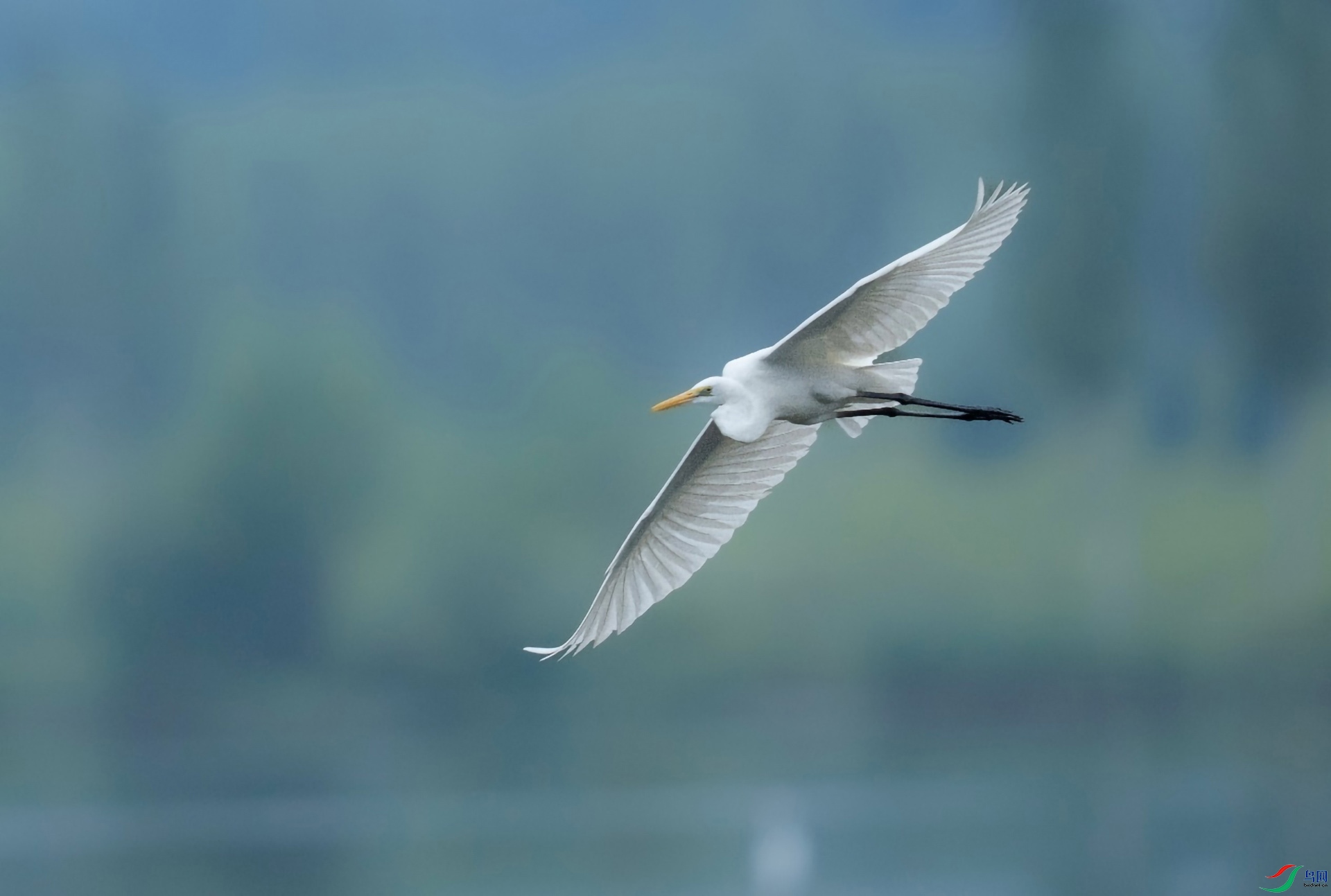 ͼƬ8 ����.jpg