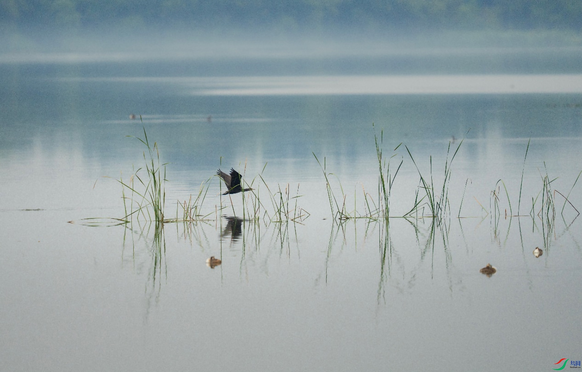 ͼƬ10 ����.jpg