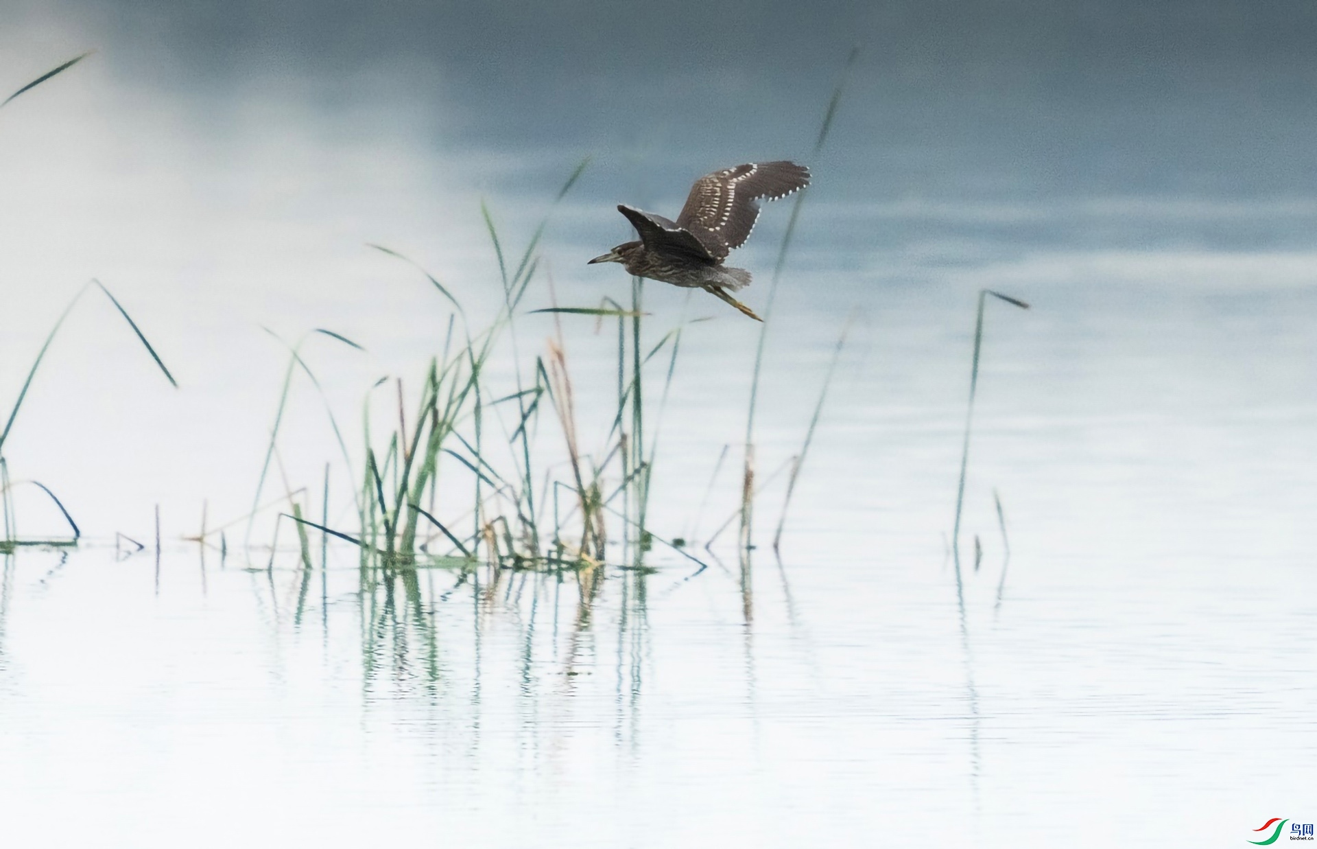 ͼƬ11 ����.jpg