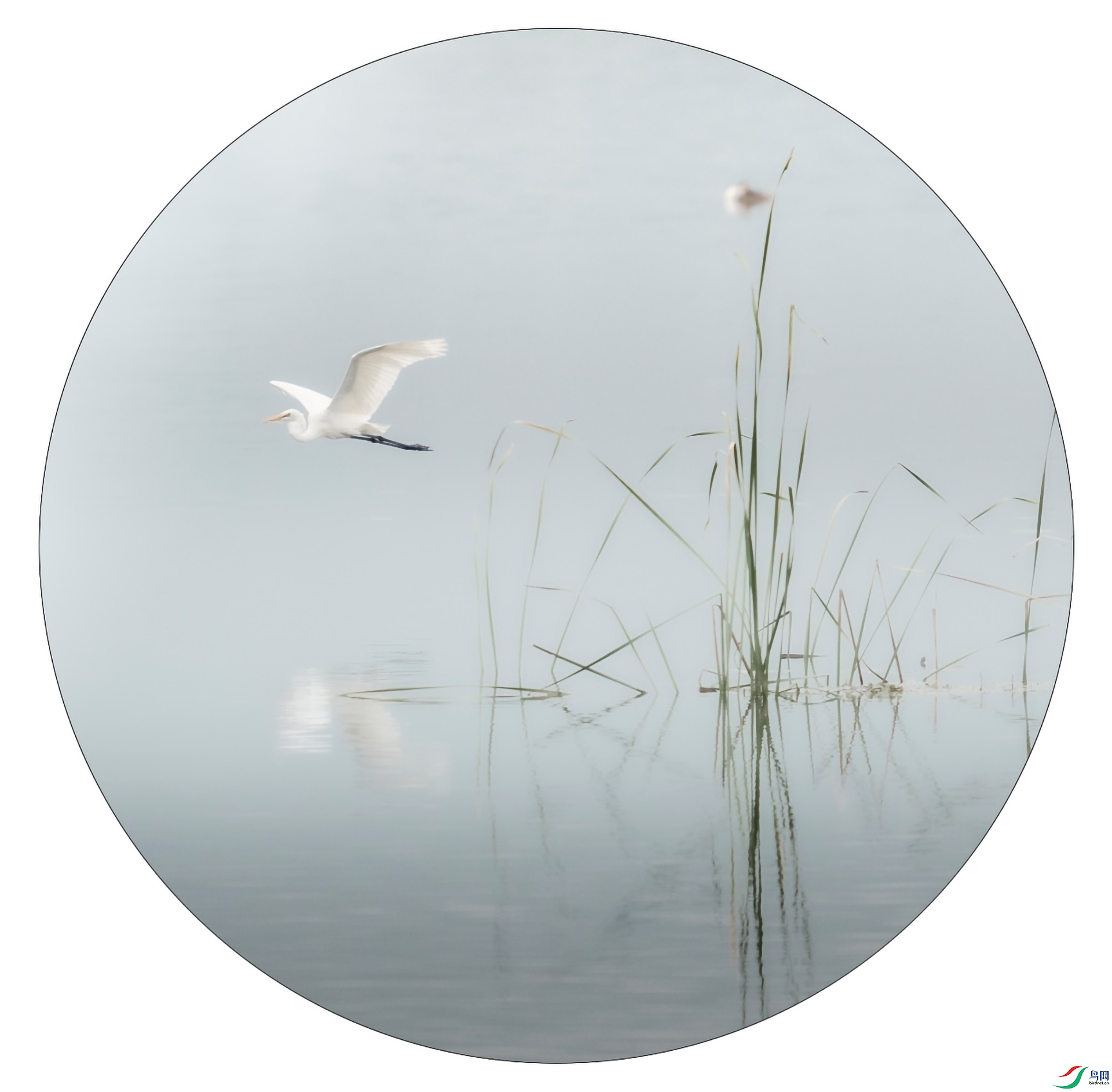 ͼƬ12 ����.jpg